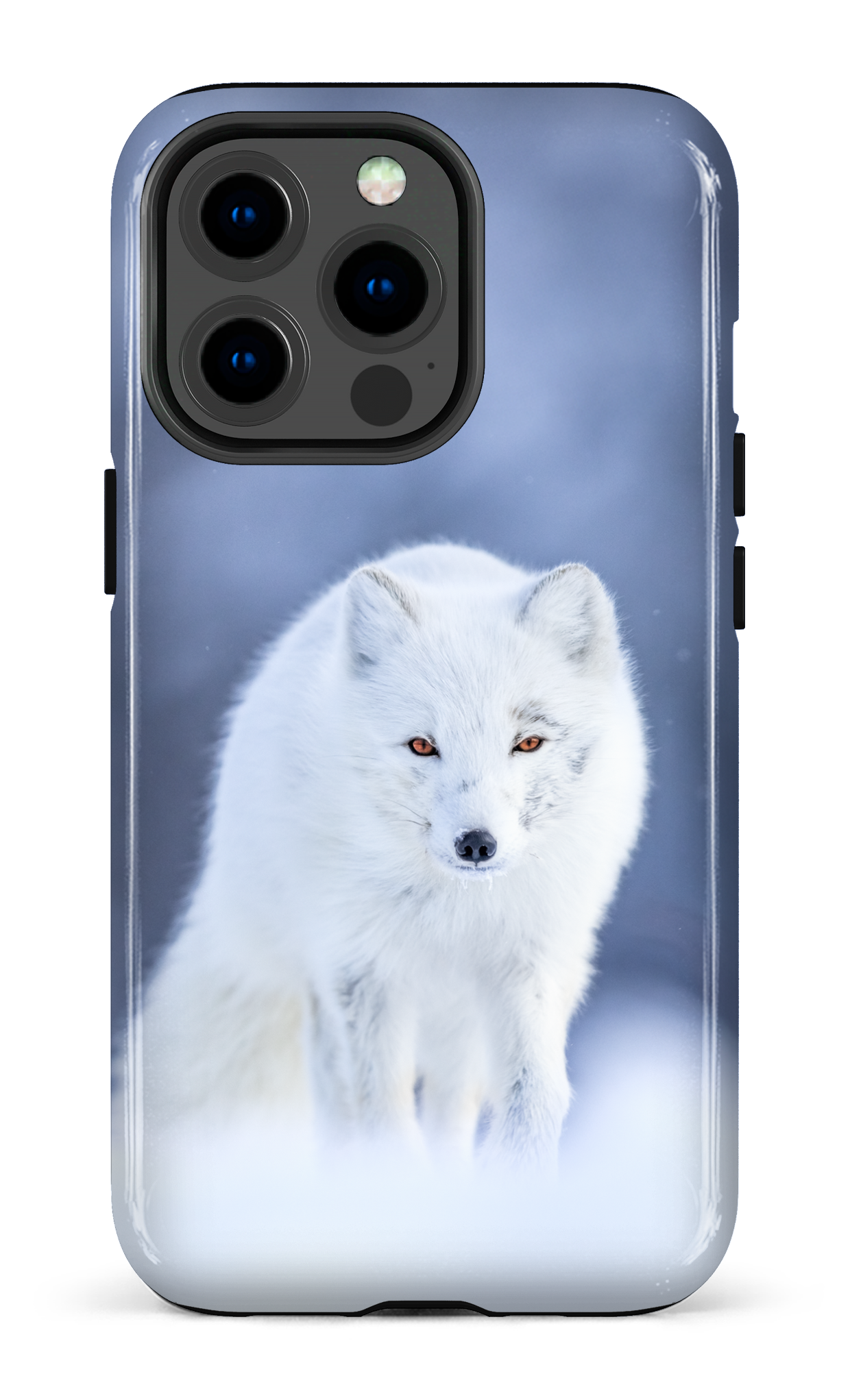 Arctique