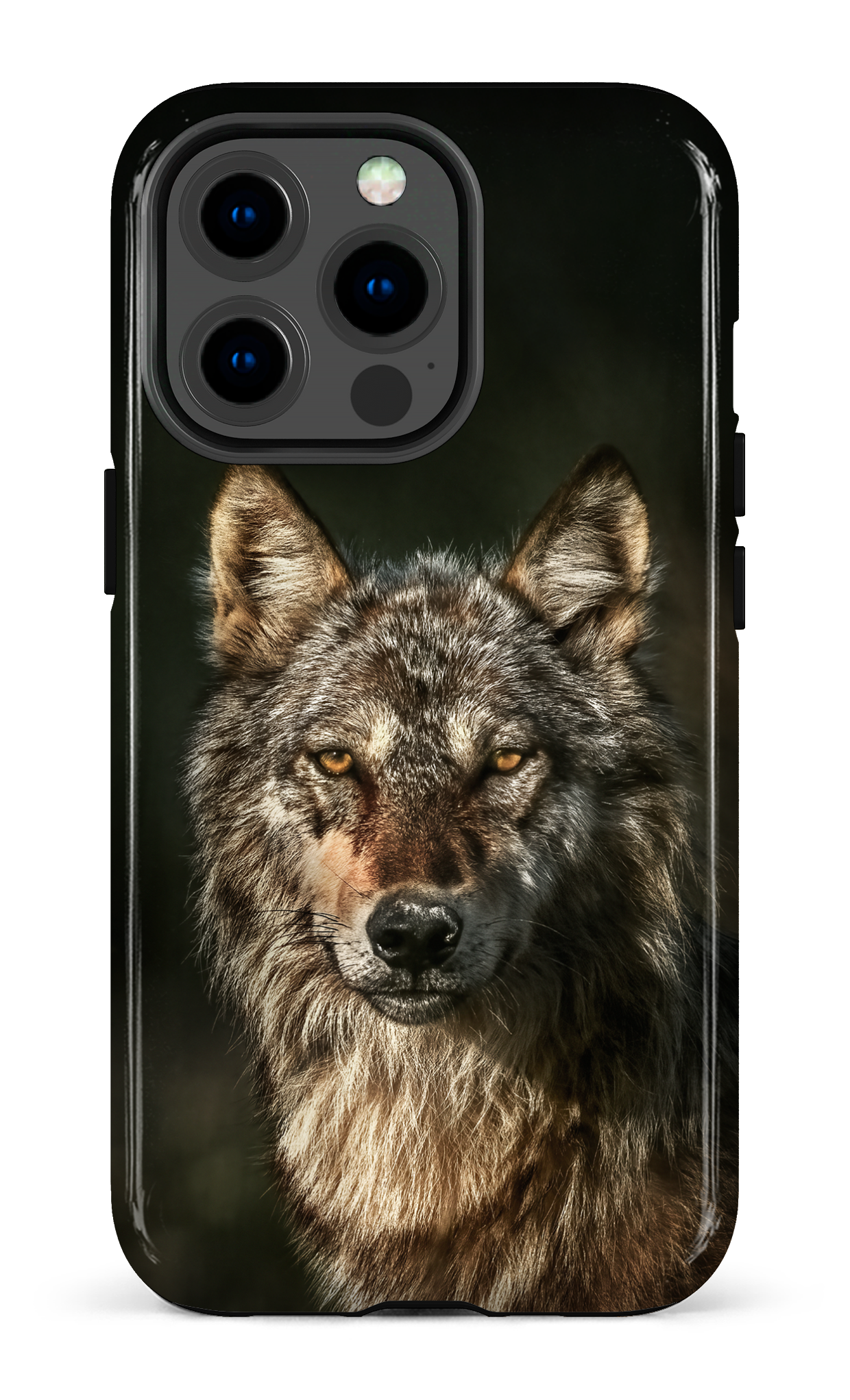 Loups