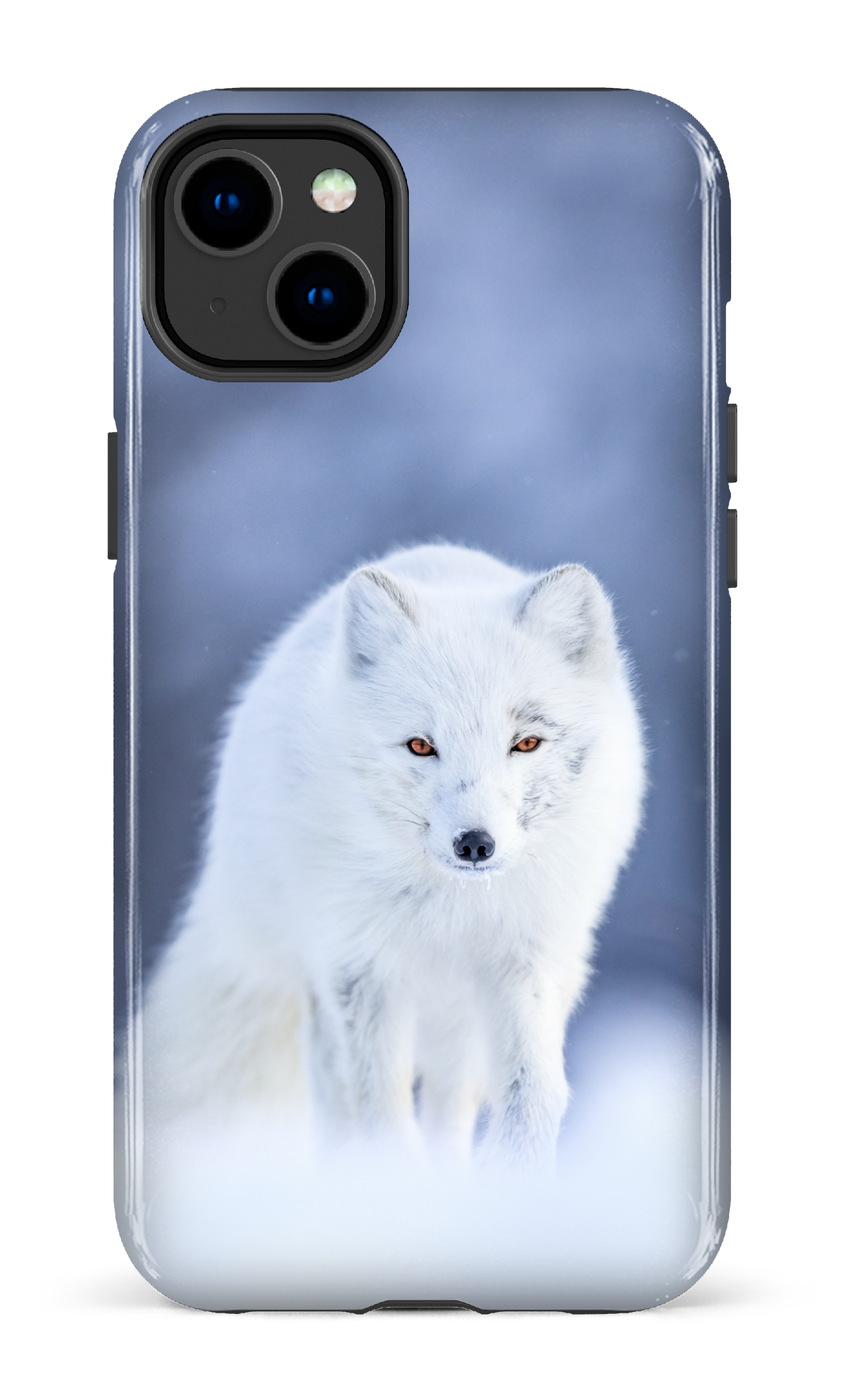 Arctique
