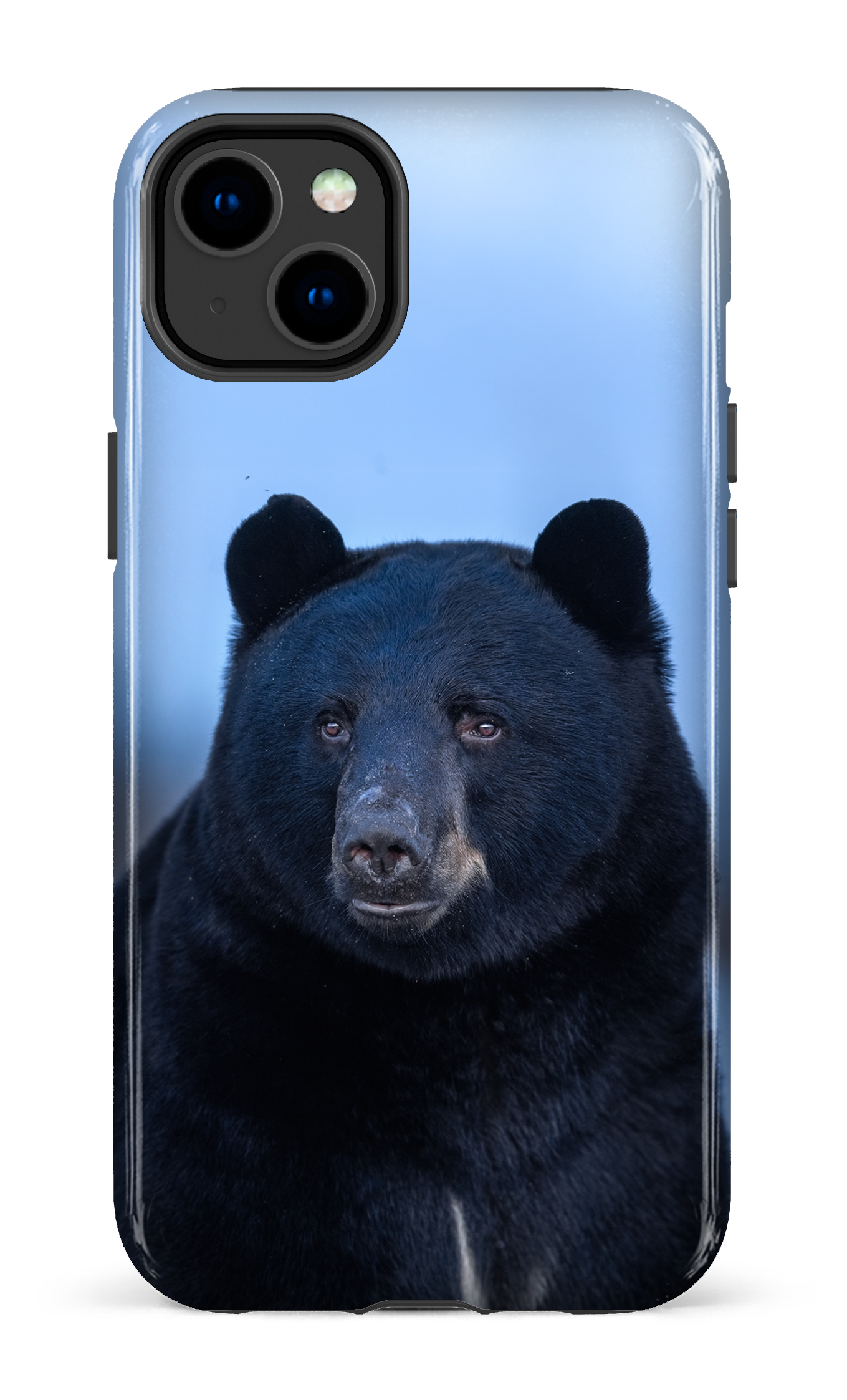 Ours bleu
