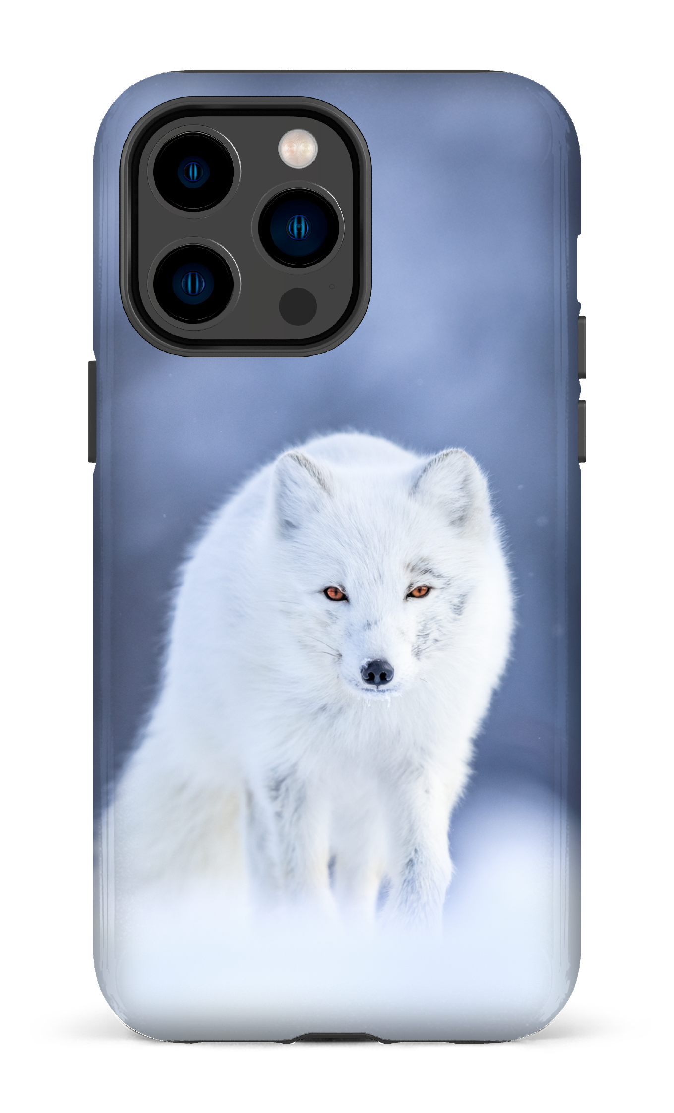 Arctique