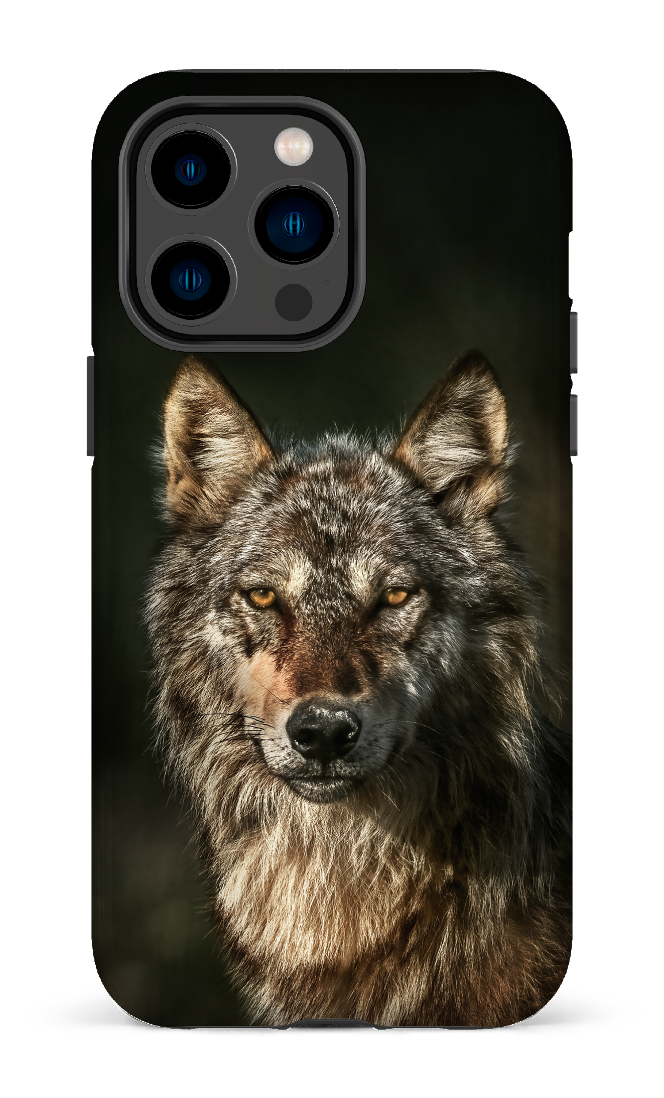 Loups
