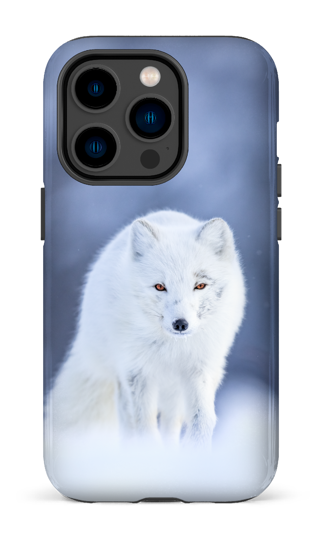 Arctique