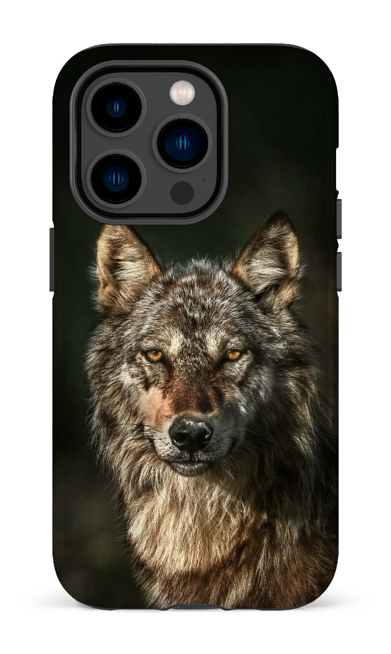Loups