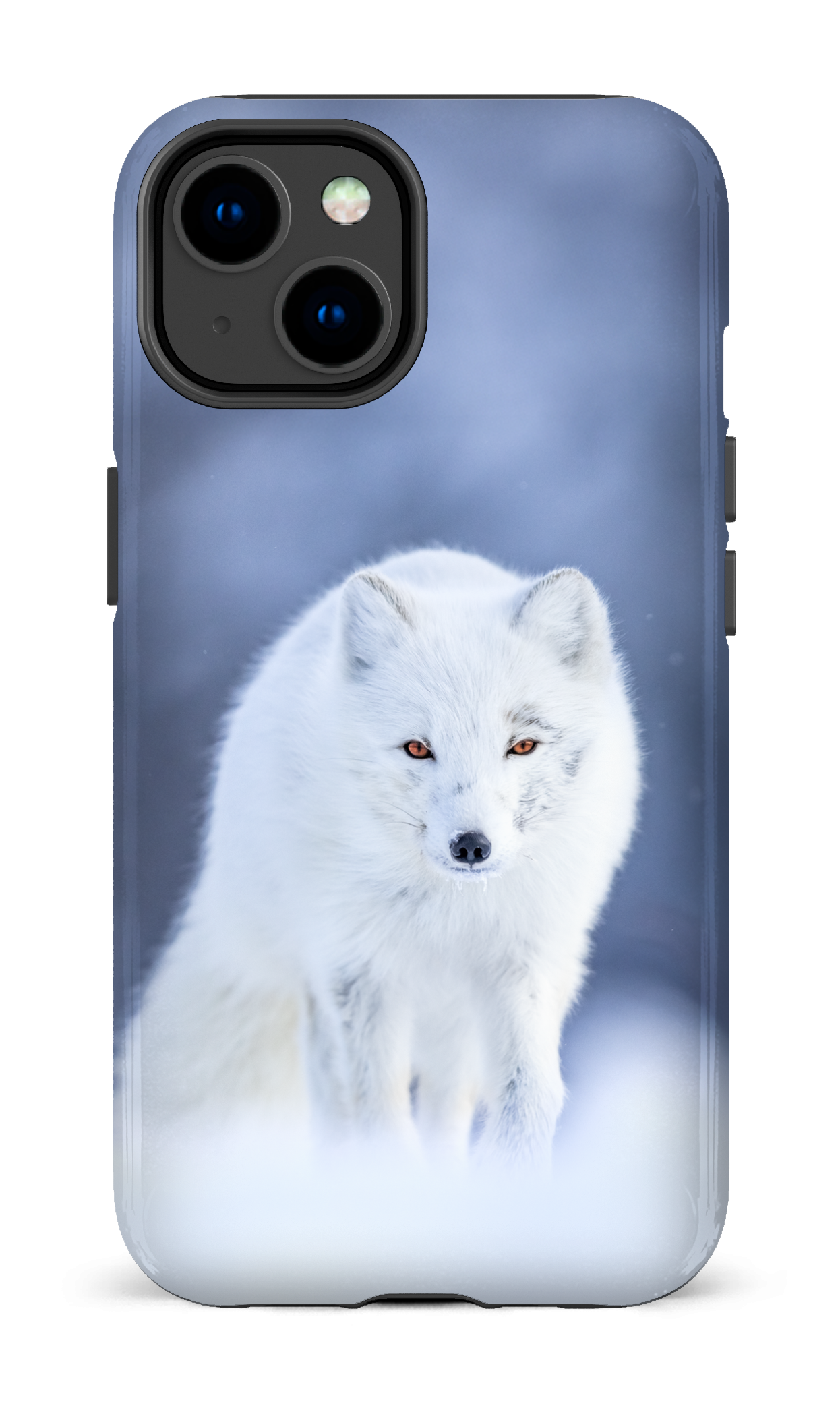 Arctique