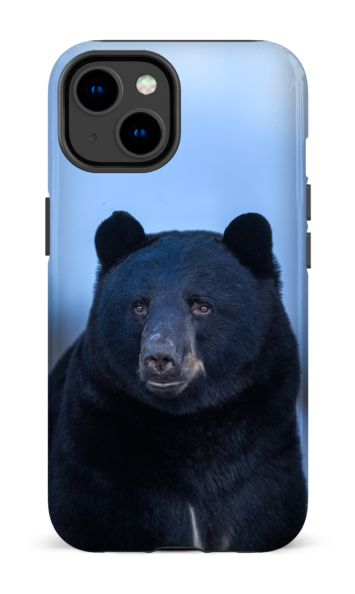 Ours bleu