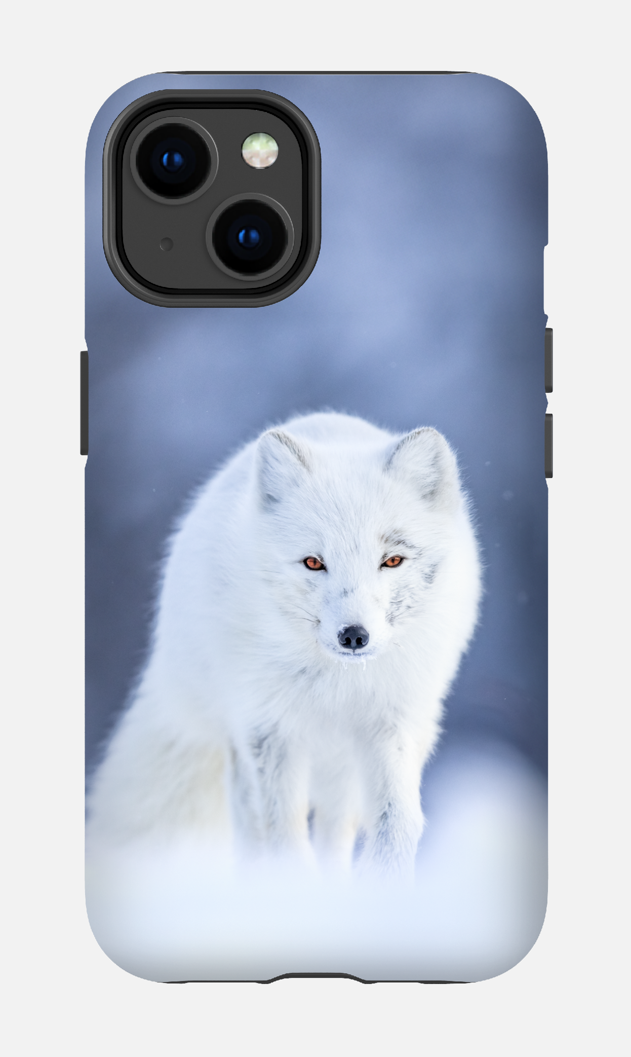 Arctique