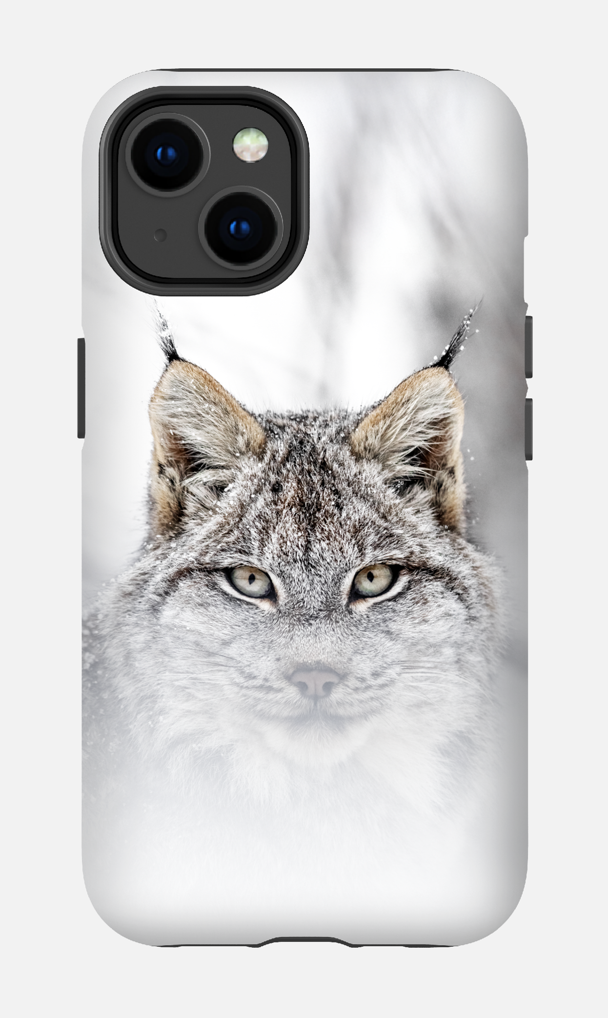 Le chat