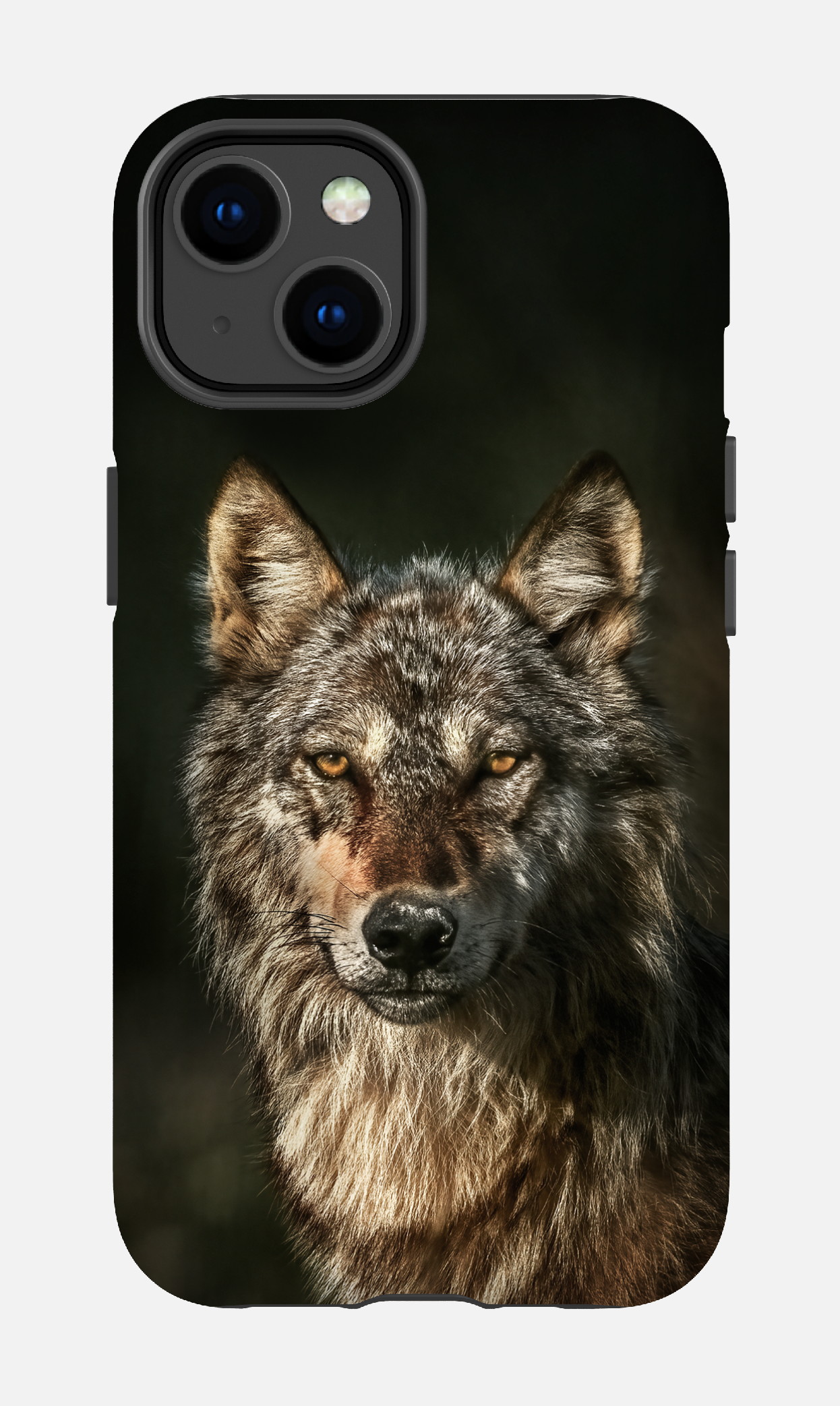 Loups