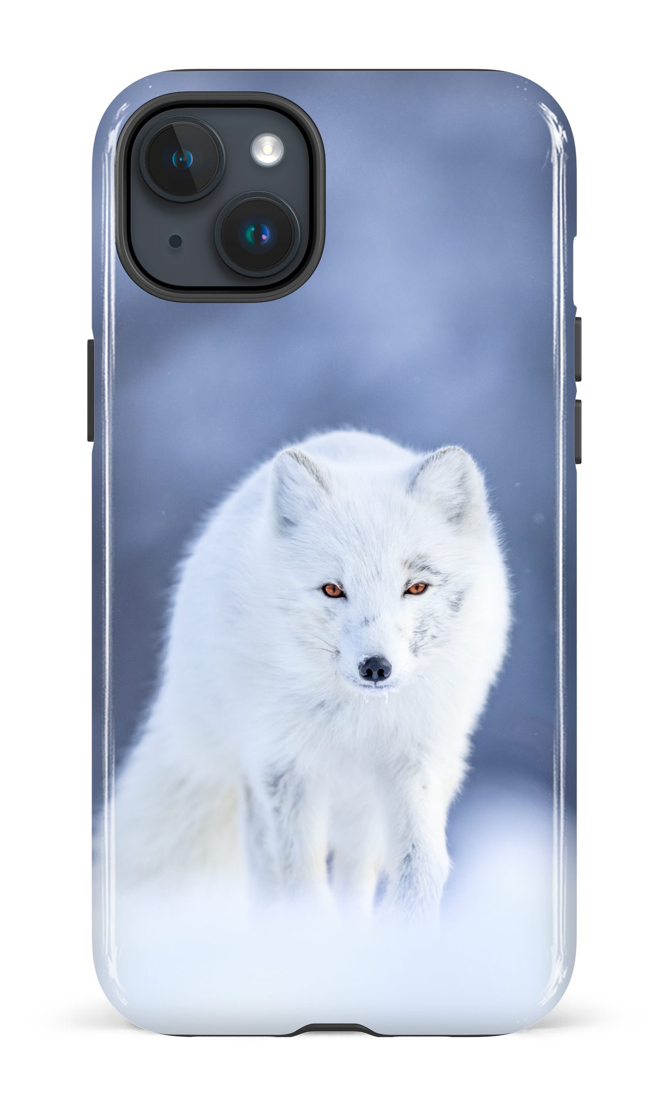Arctique