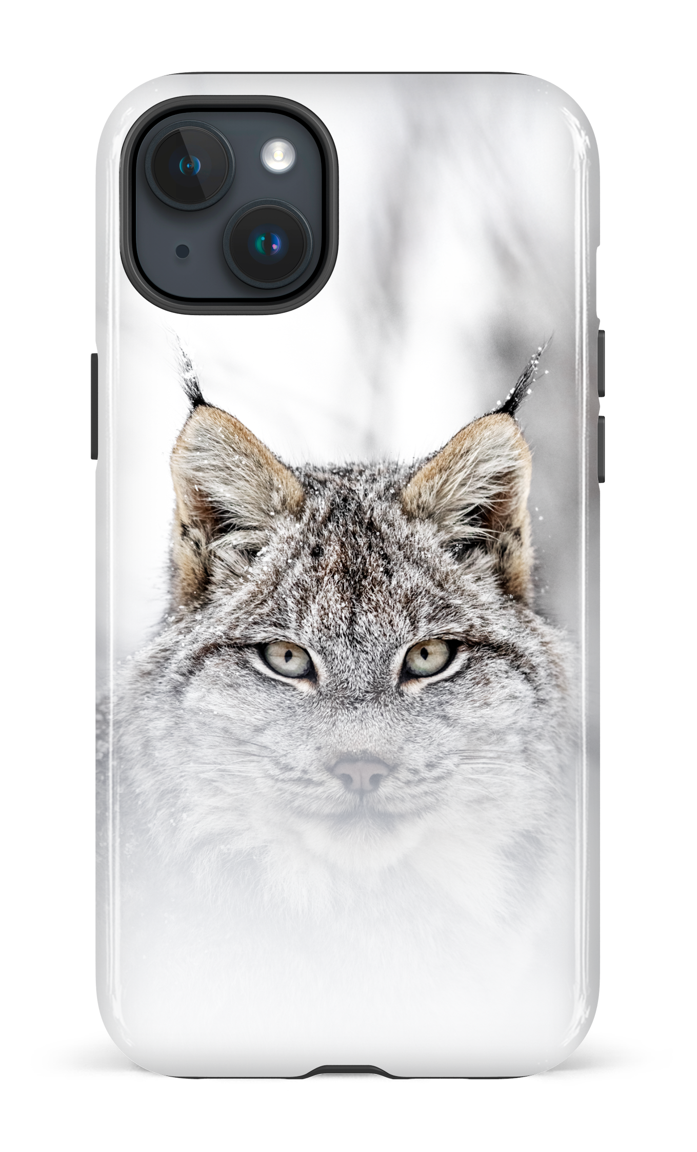 Le chat