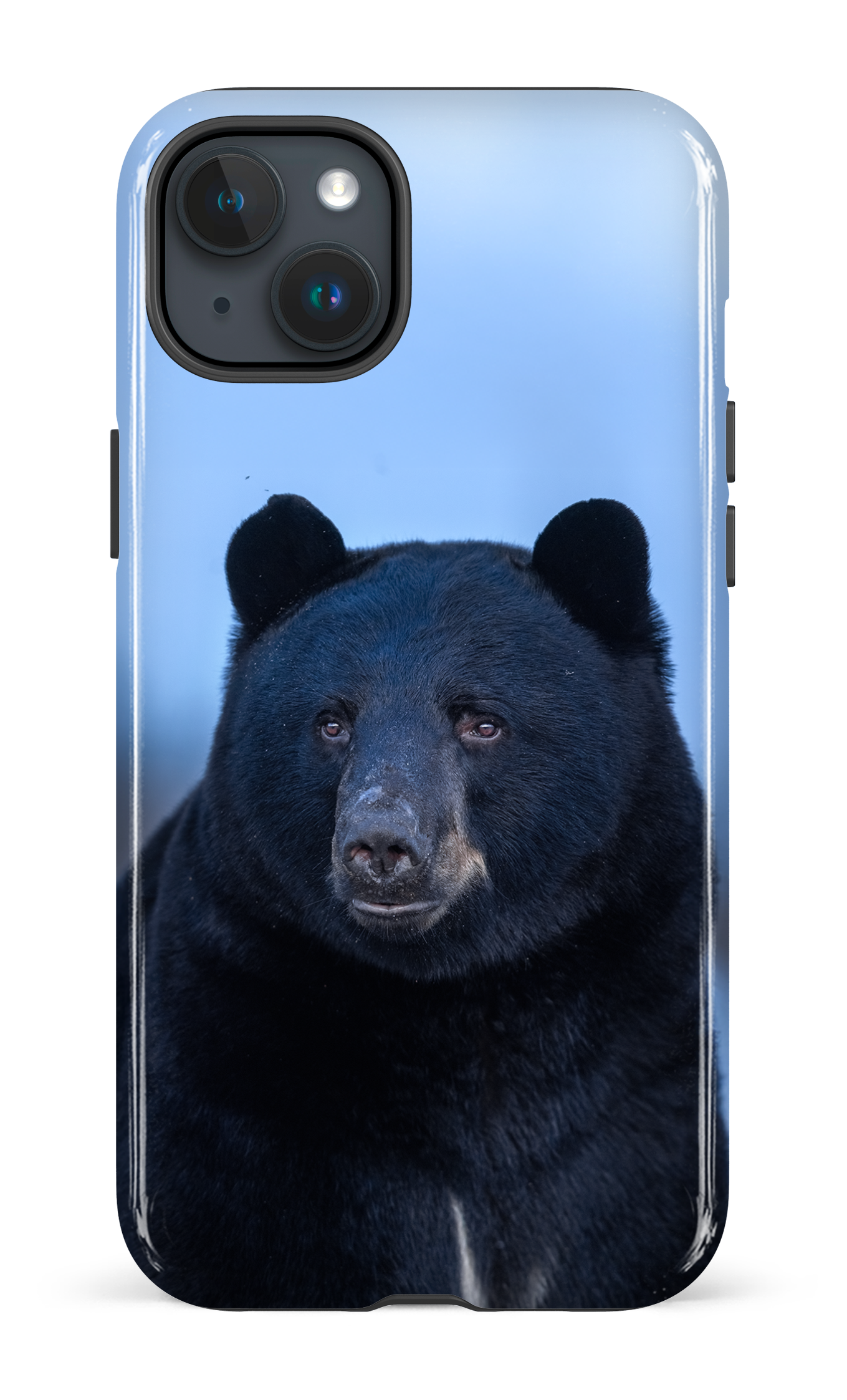 Ours bleu