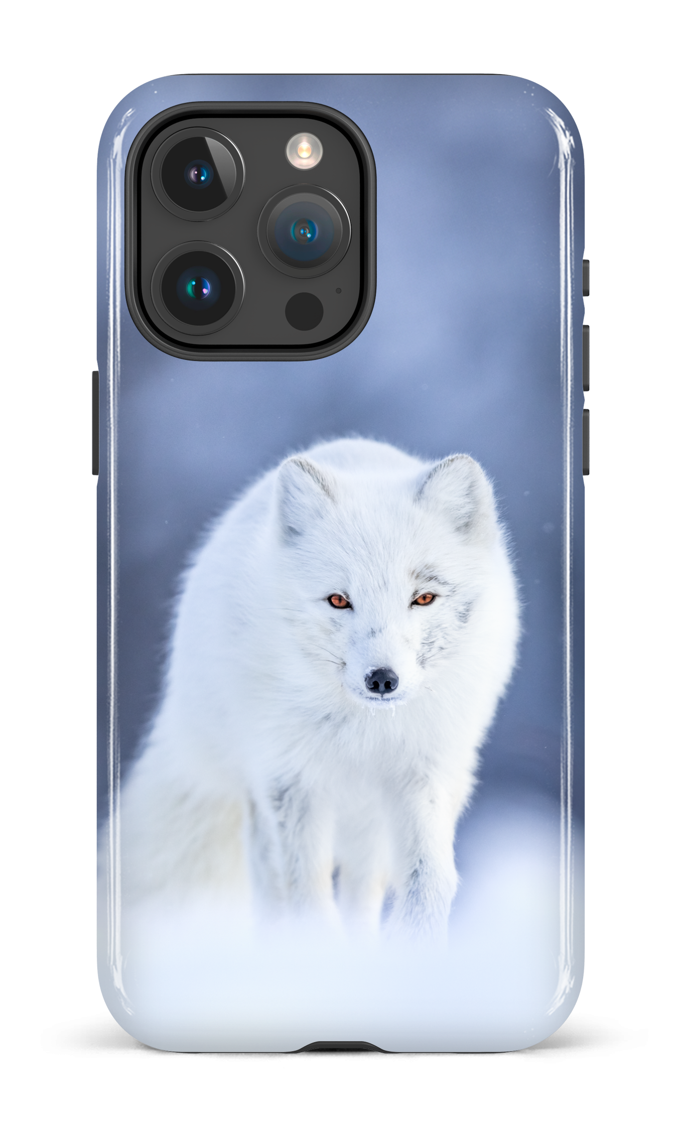 Arctique
