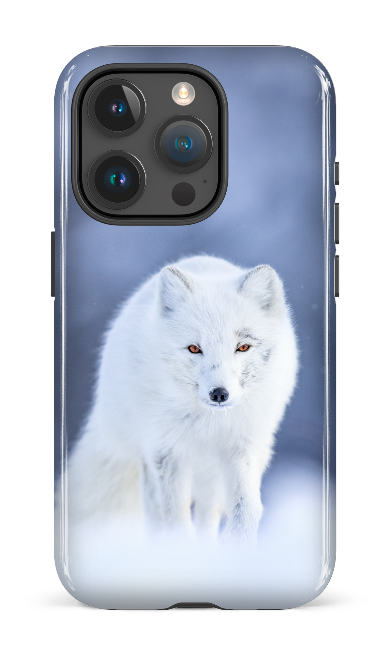 Arctique