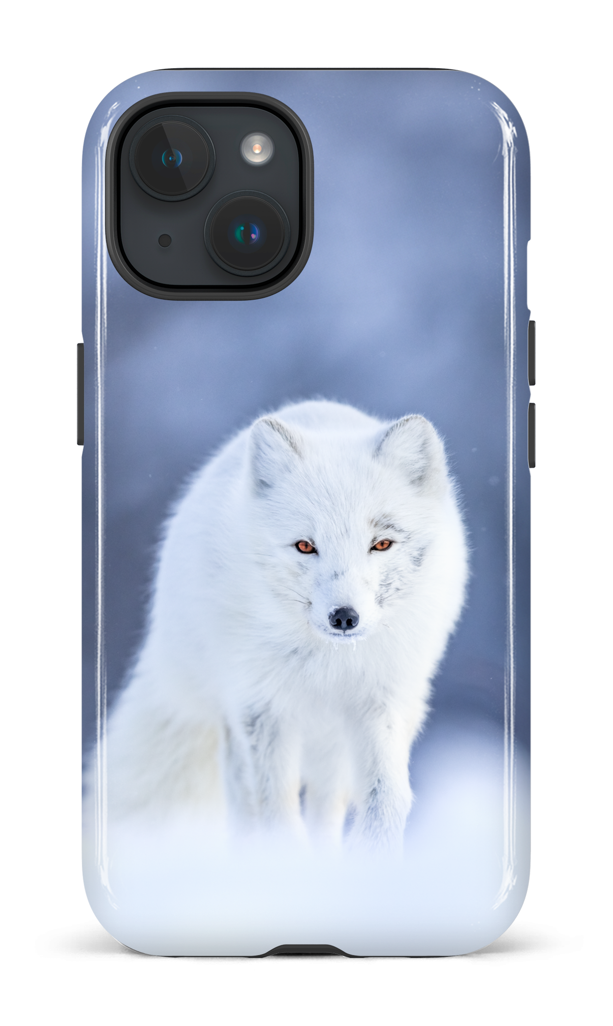 Arctique