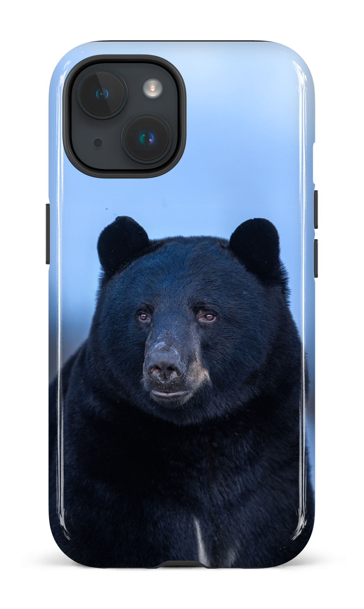 Ours bleu