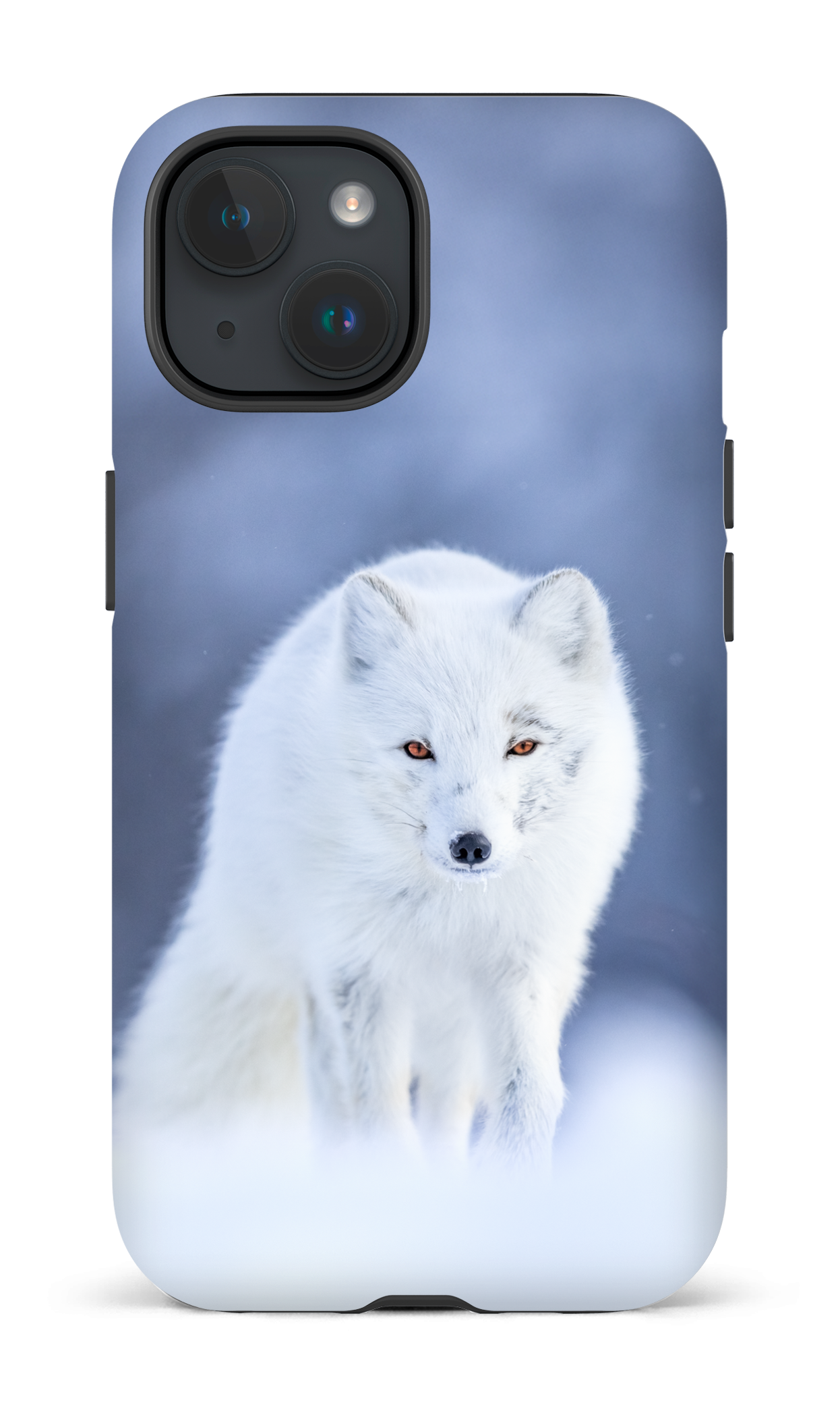 Arctique