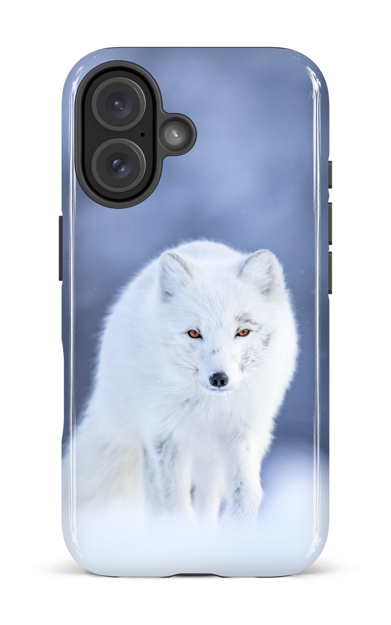 Arctique