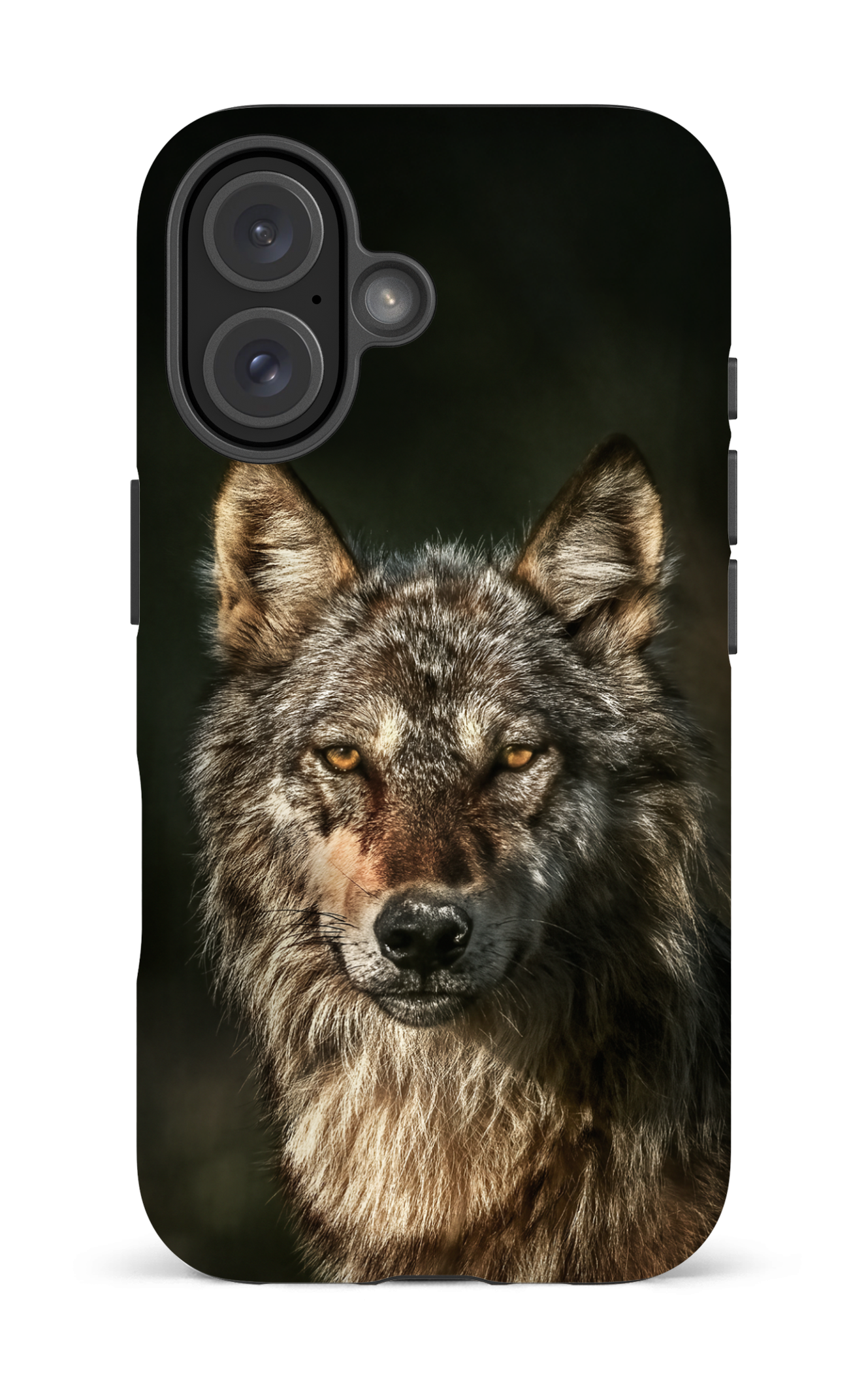 Loups