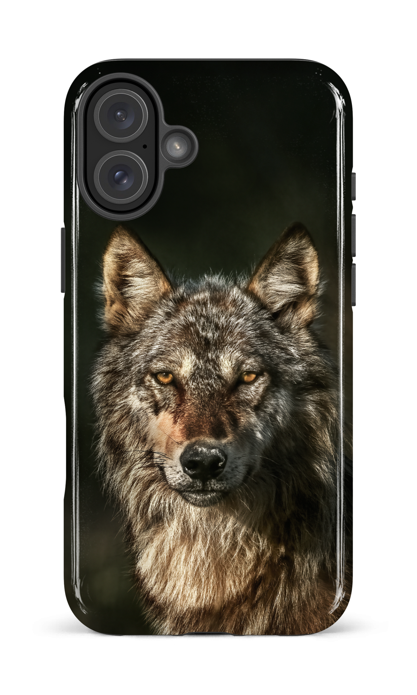 Loups