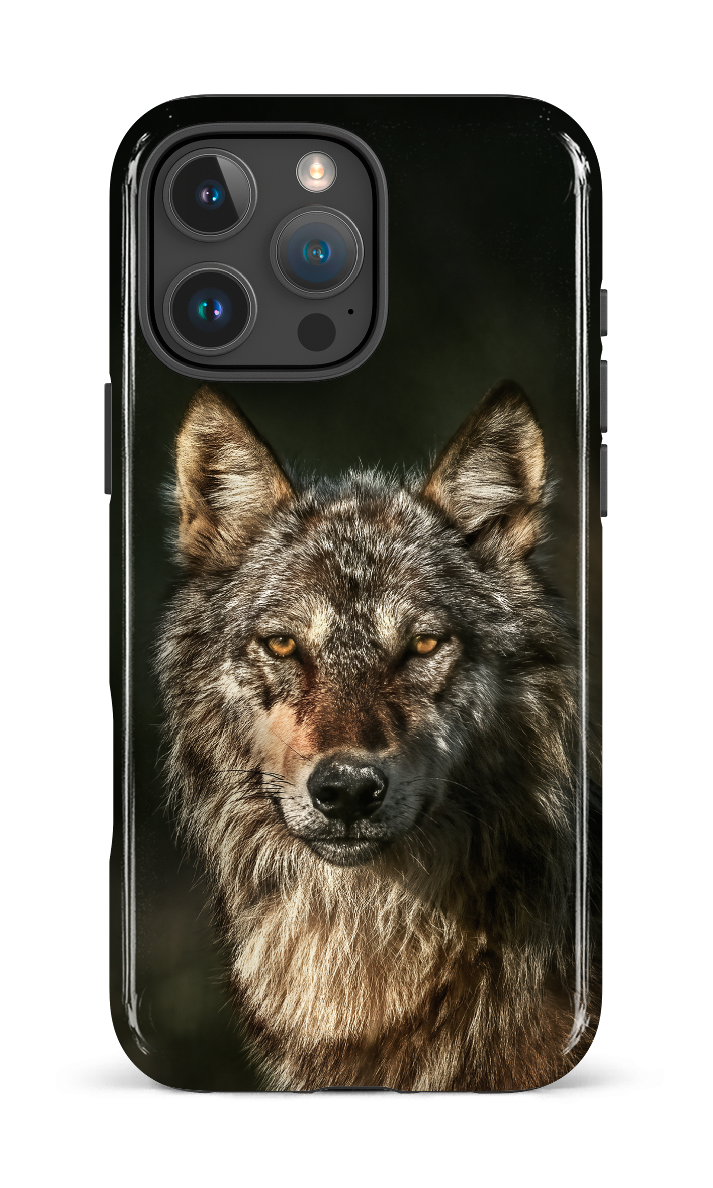 Loups