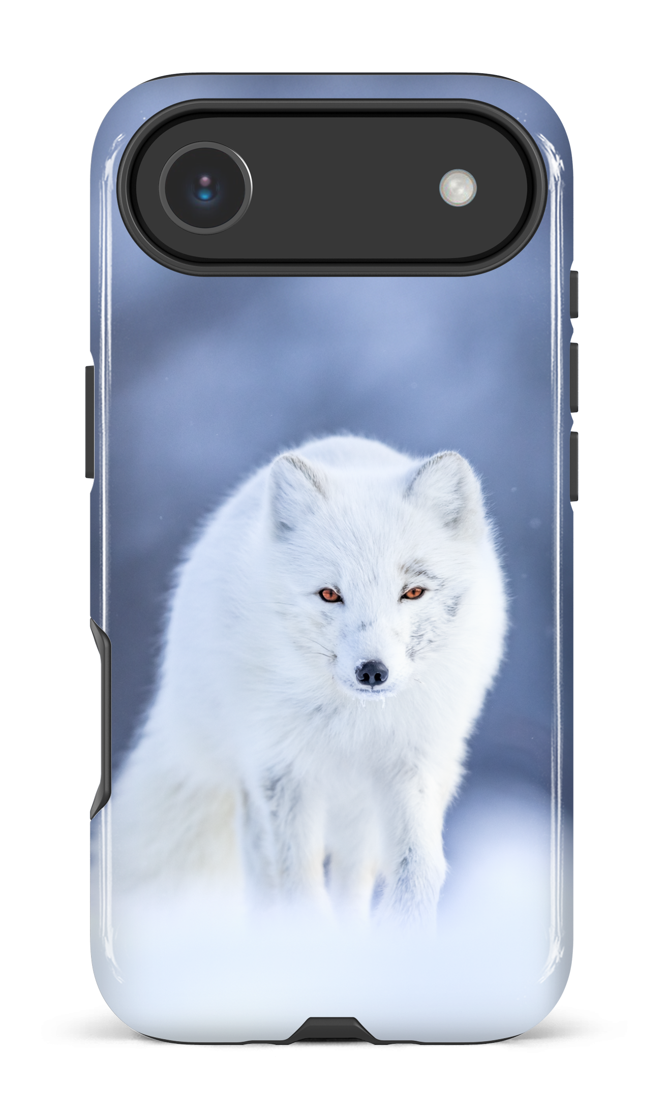 Arctique