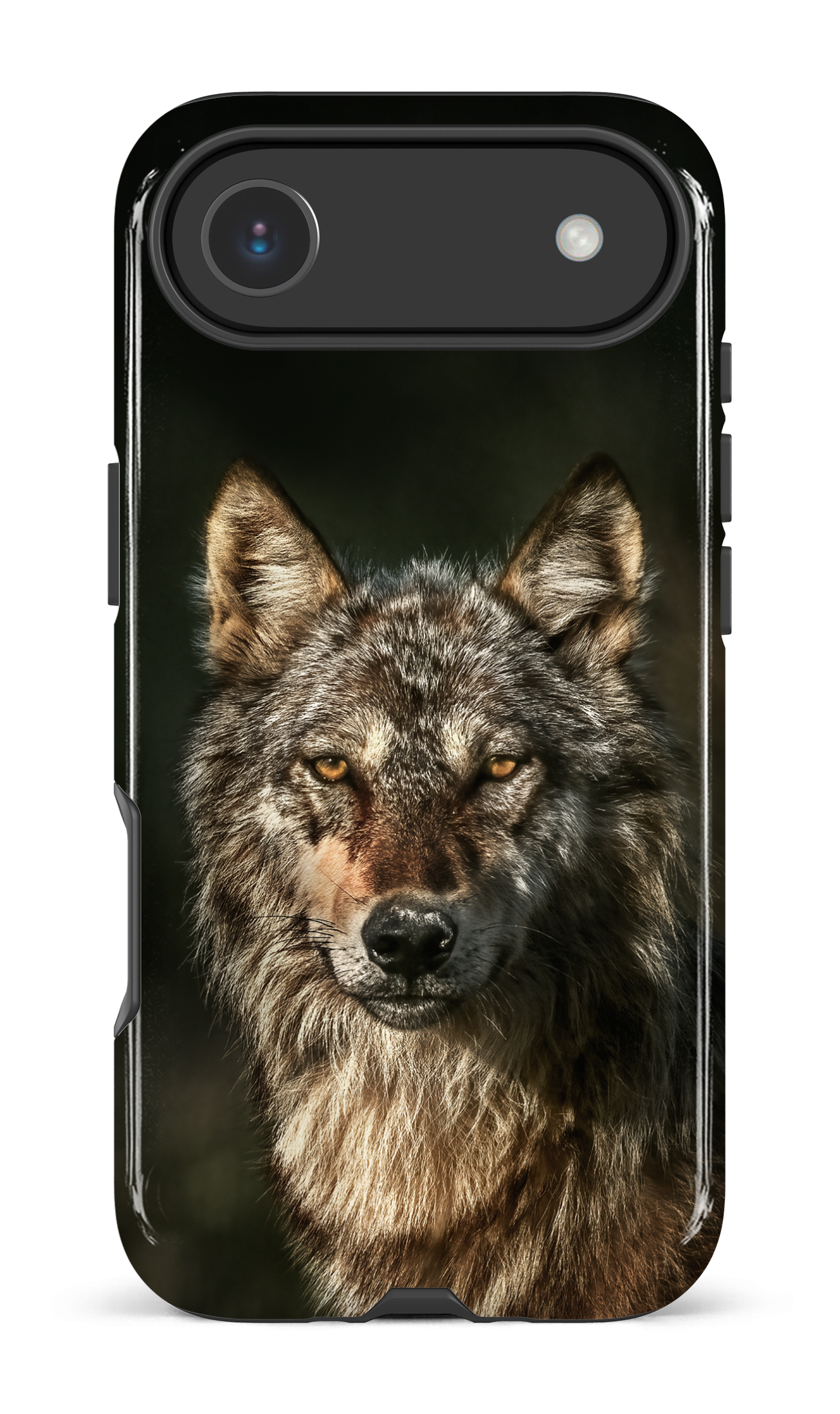 Loups