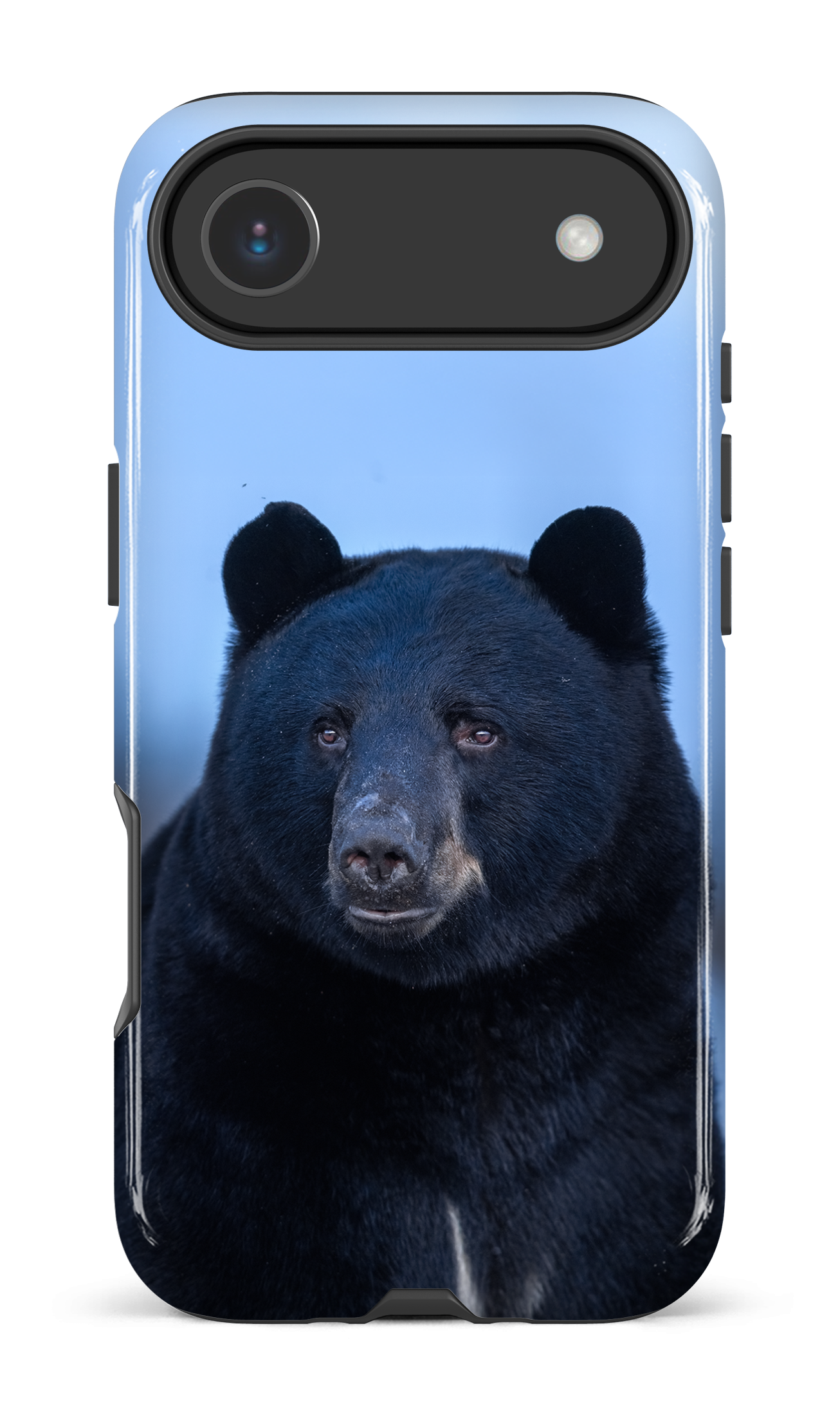 Ours bleu