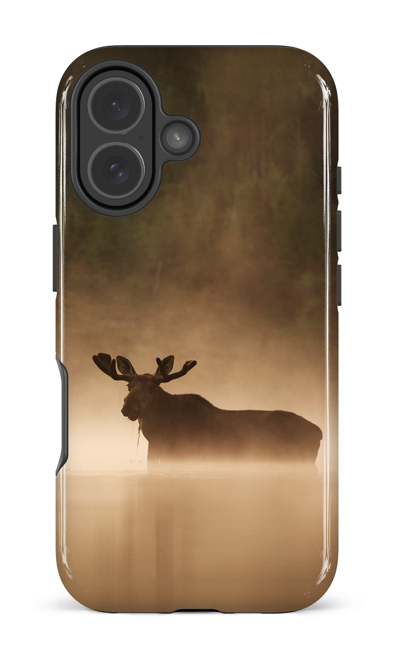 Brume et chaleur
