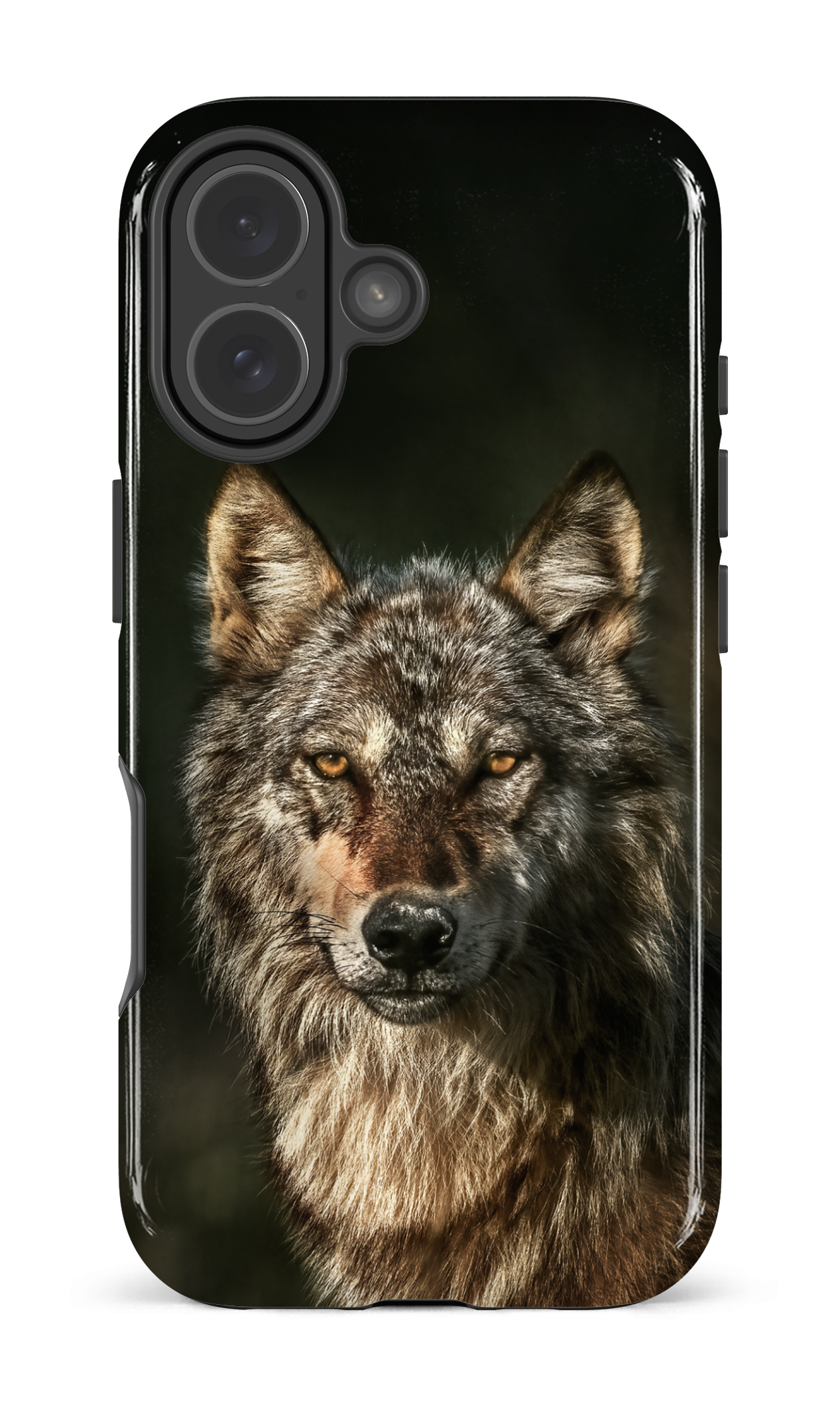 Loups