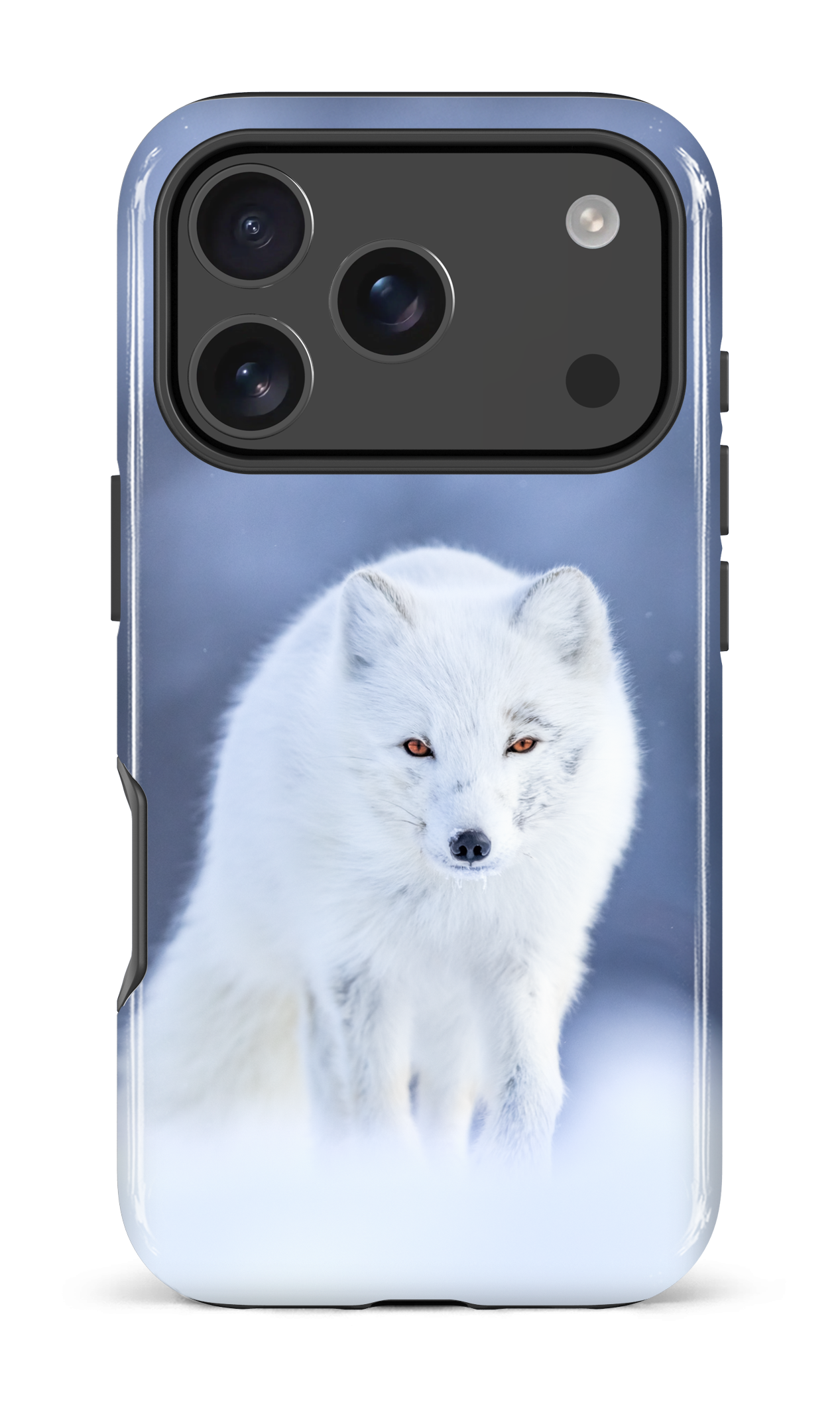 Arctique