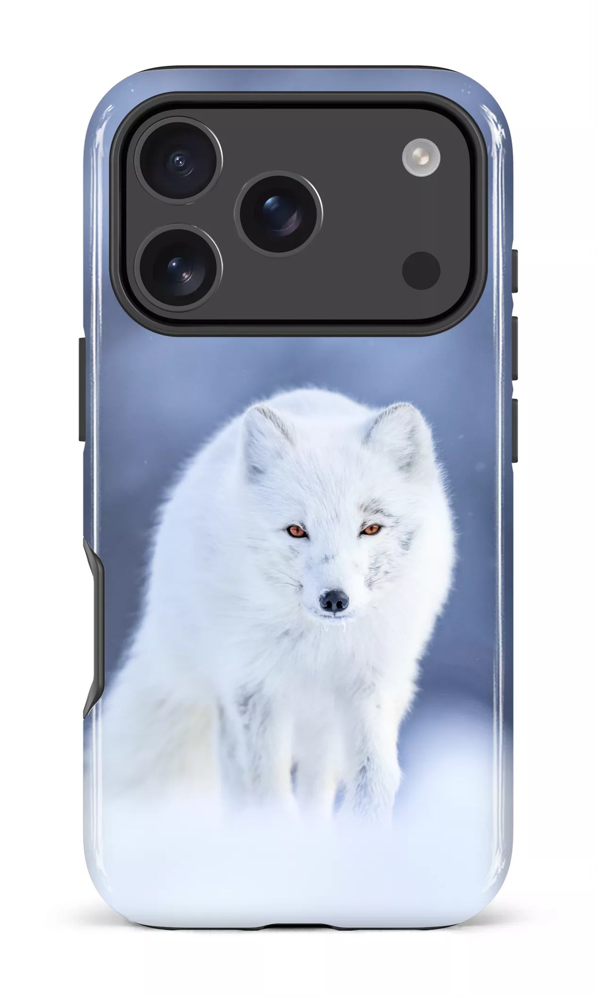 Arctique