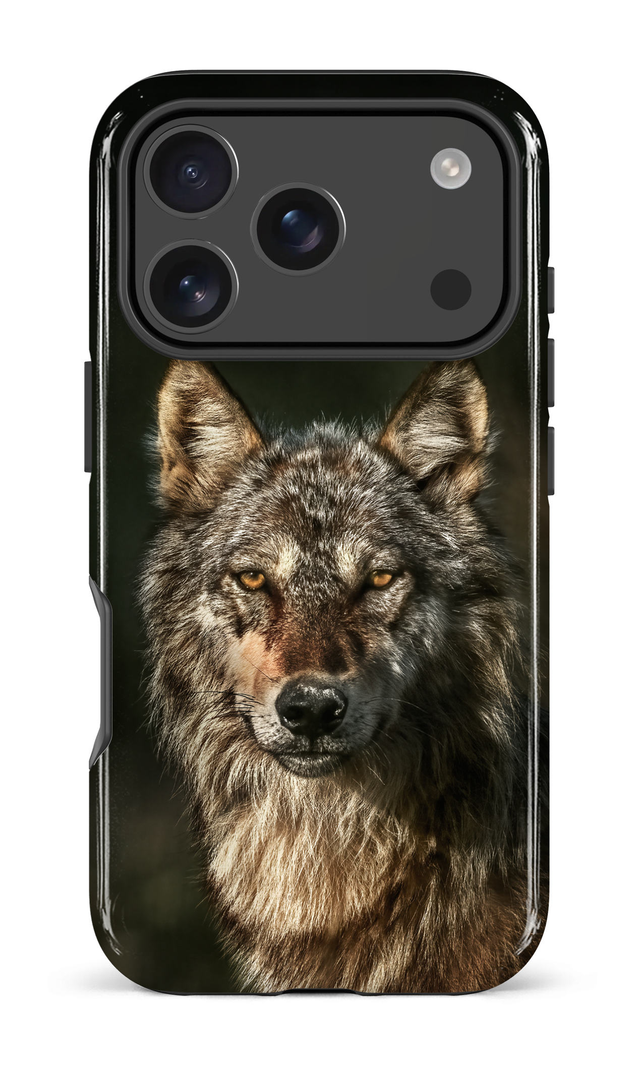 Loups