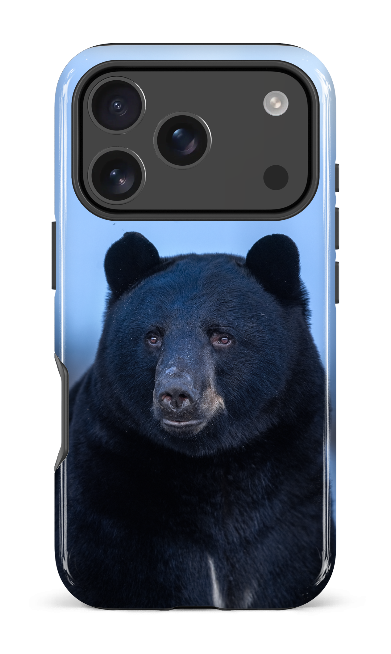 Ours bleu