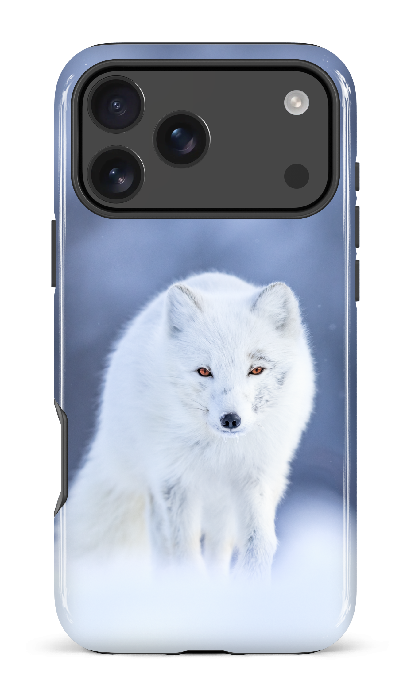 Arctique