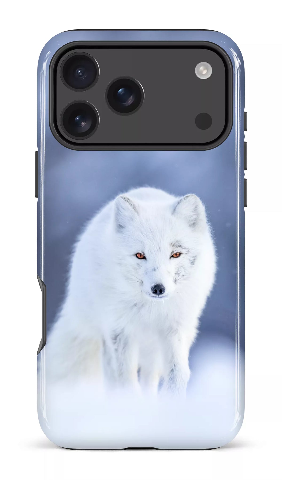 Arctique