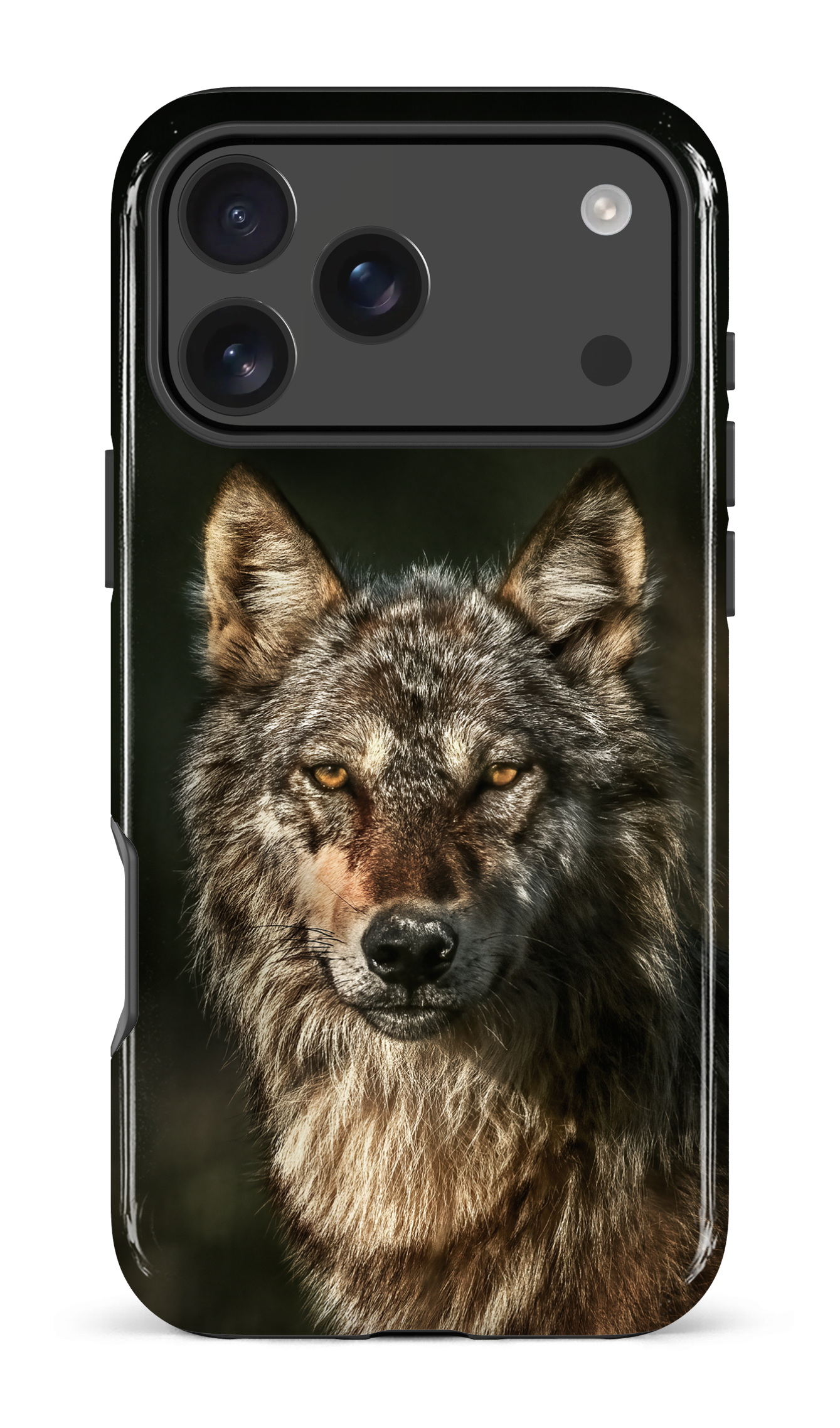 Loups