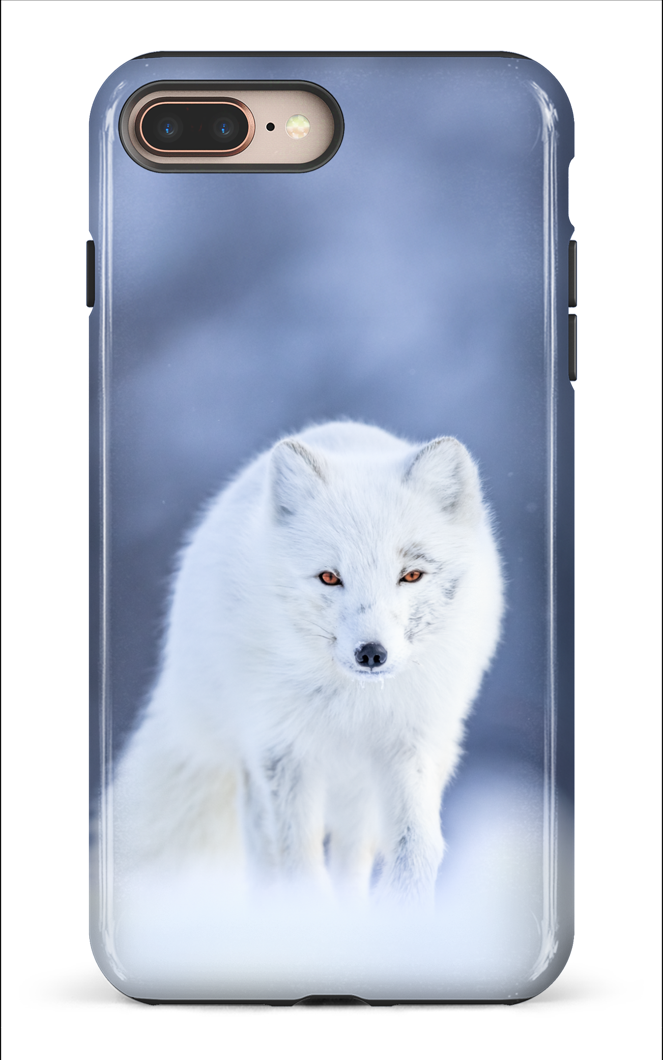 Arctique