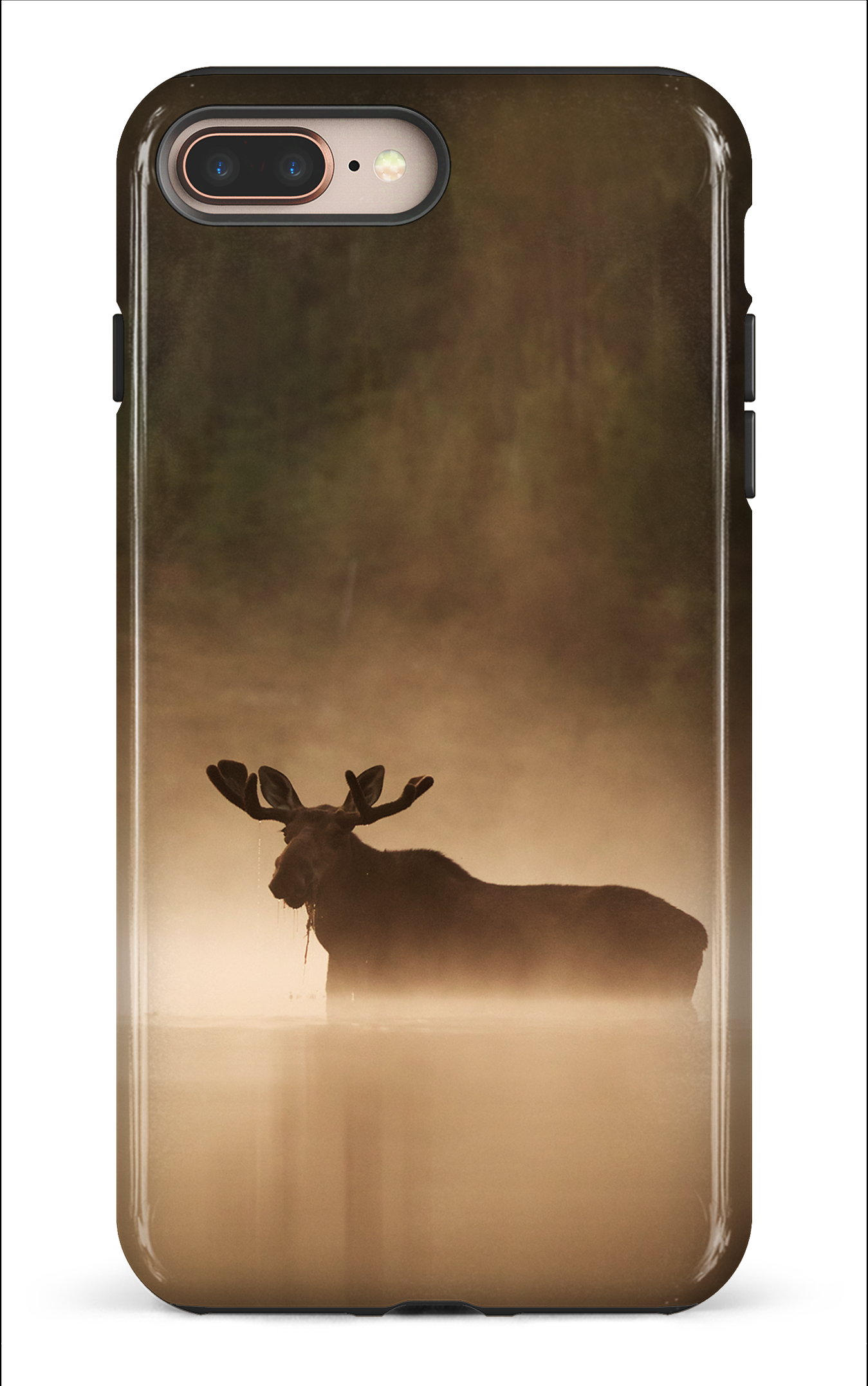 Brume et chaleur