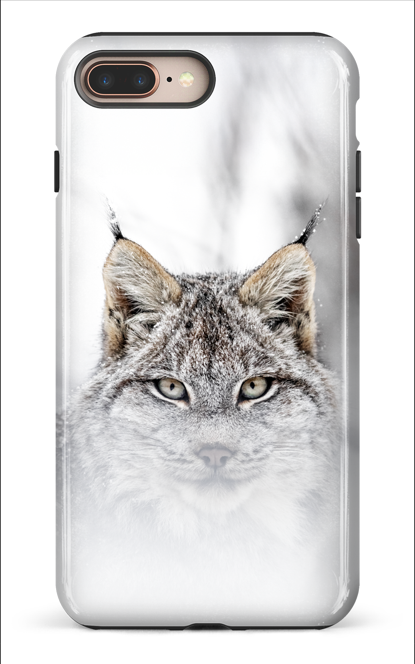 Le chat
