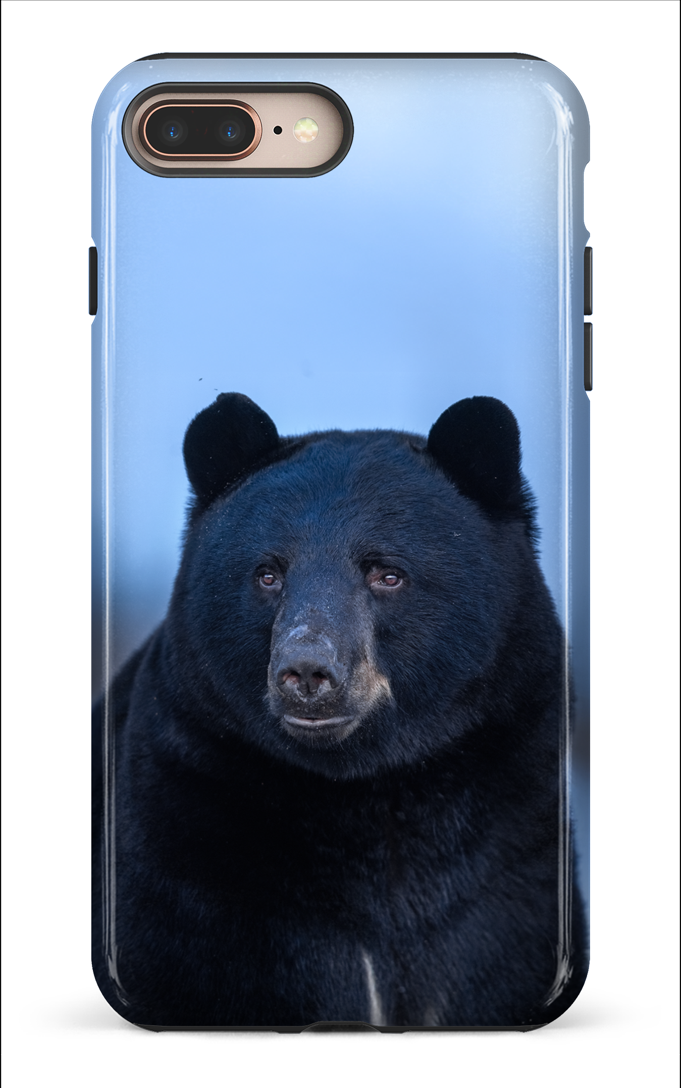 Ours bleu