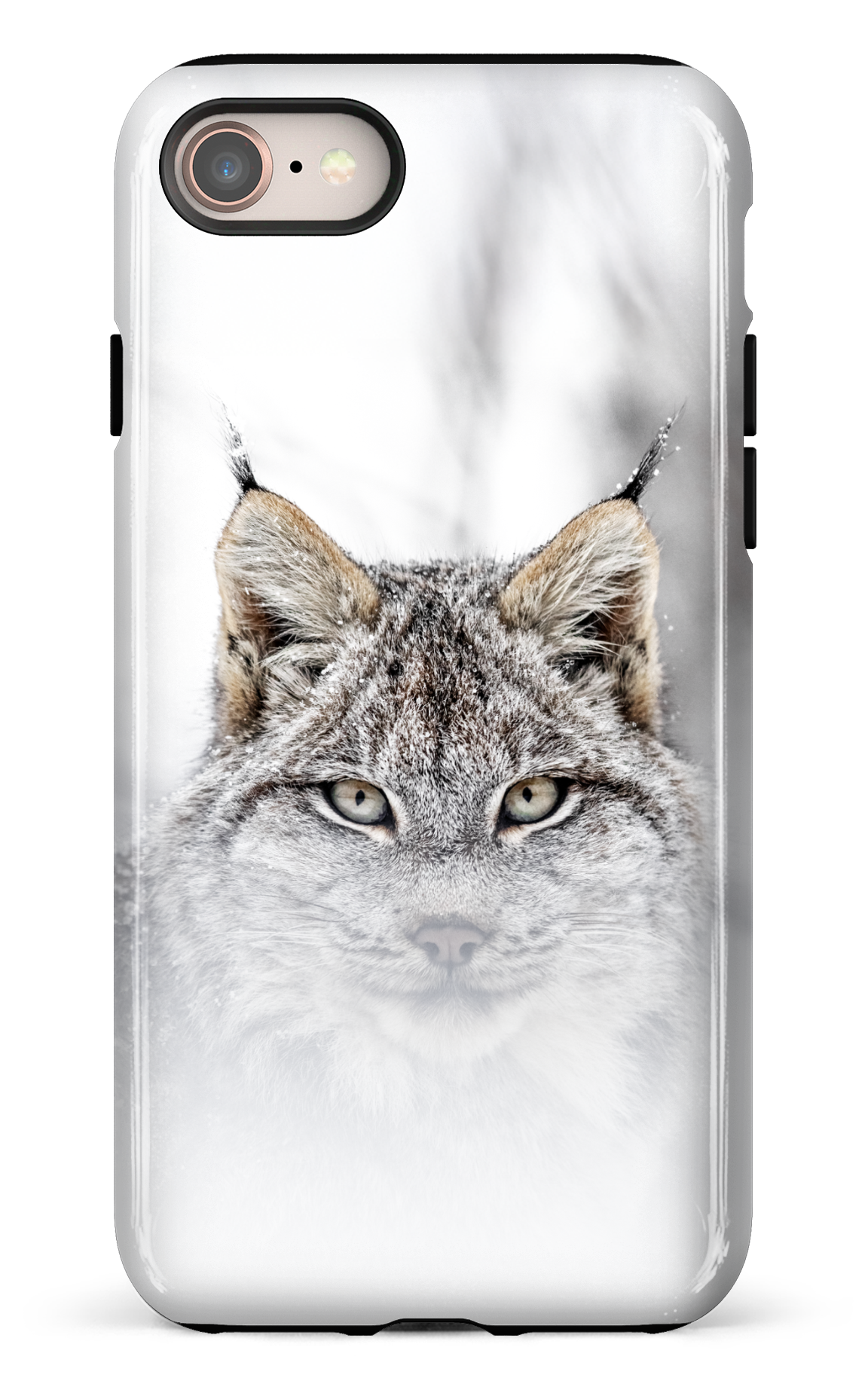 Le chat