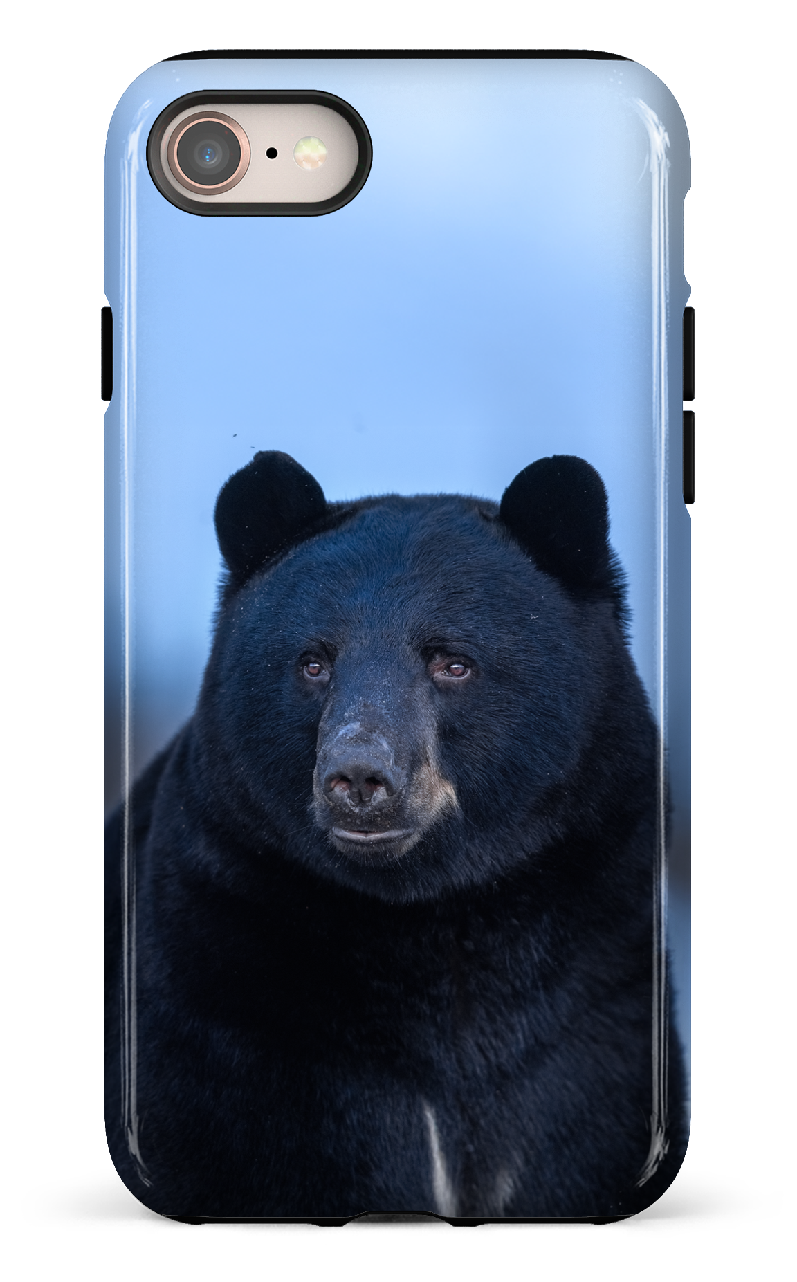 Ours bleu