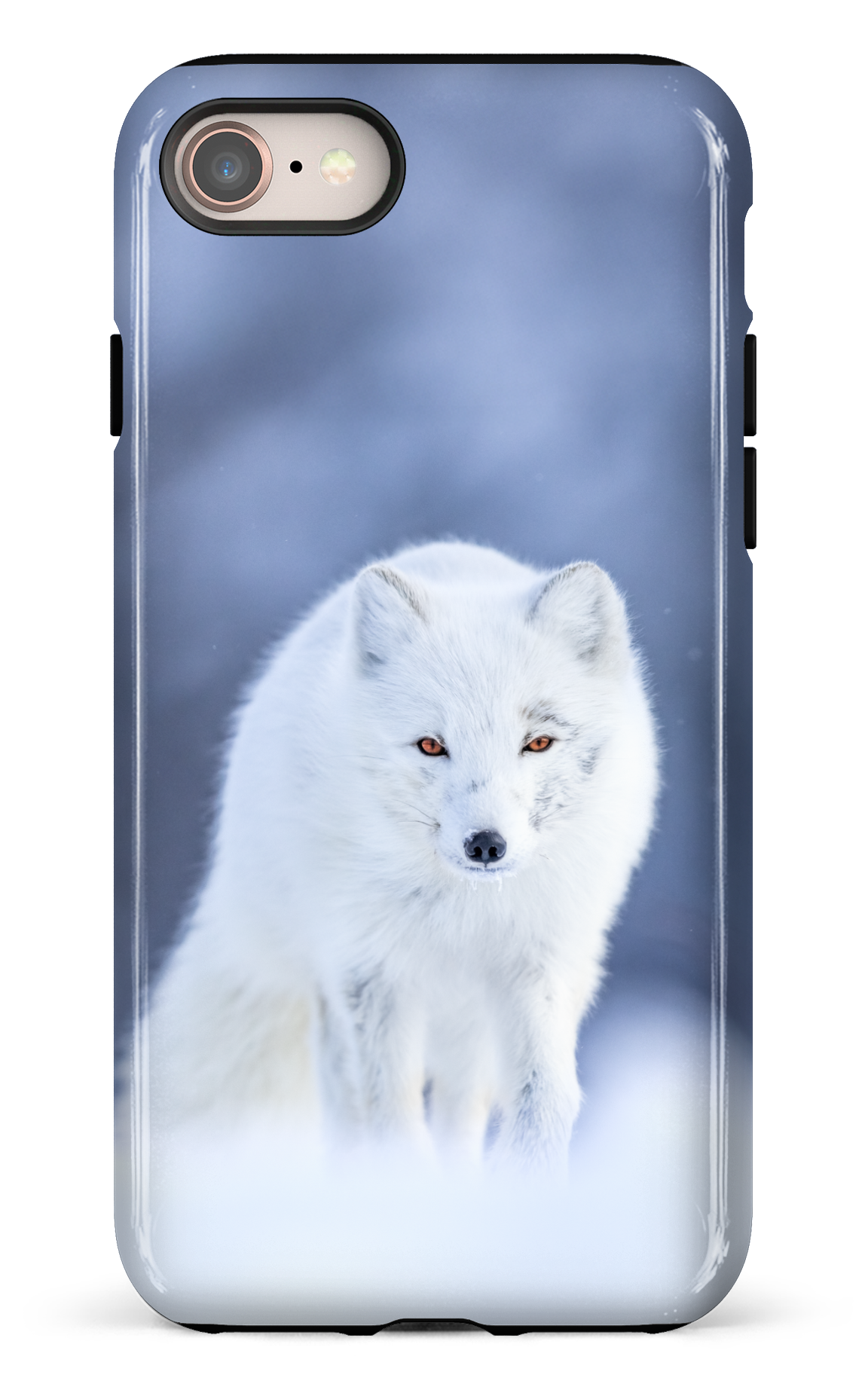 Arctique