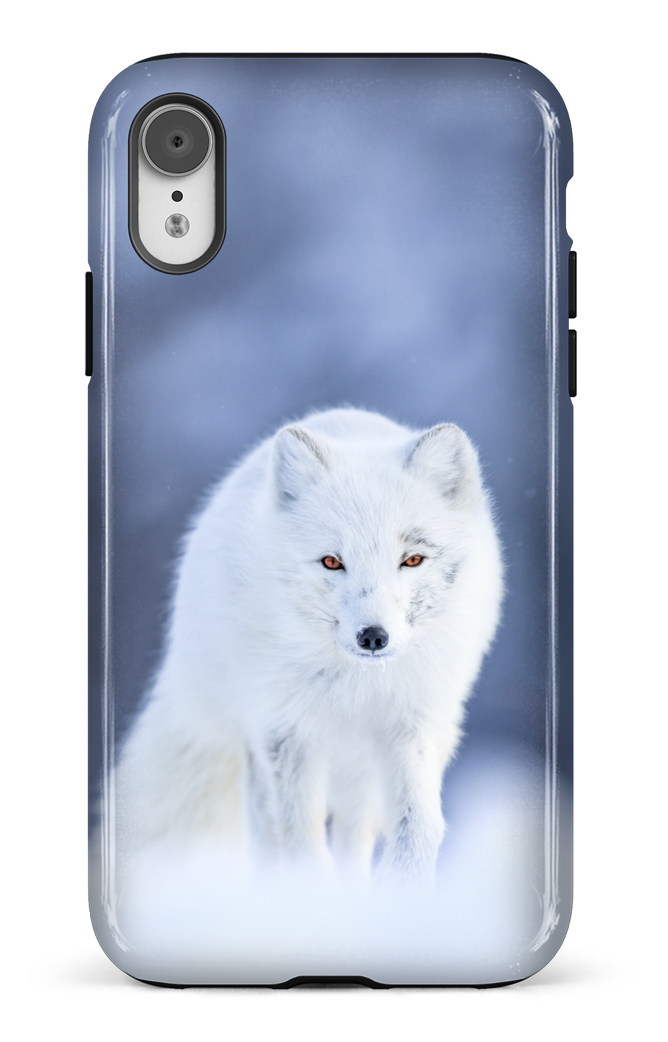 Arctique