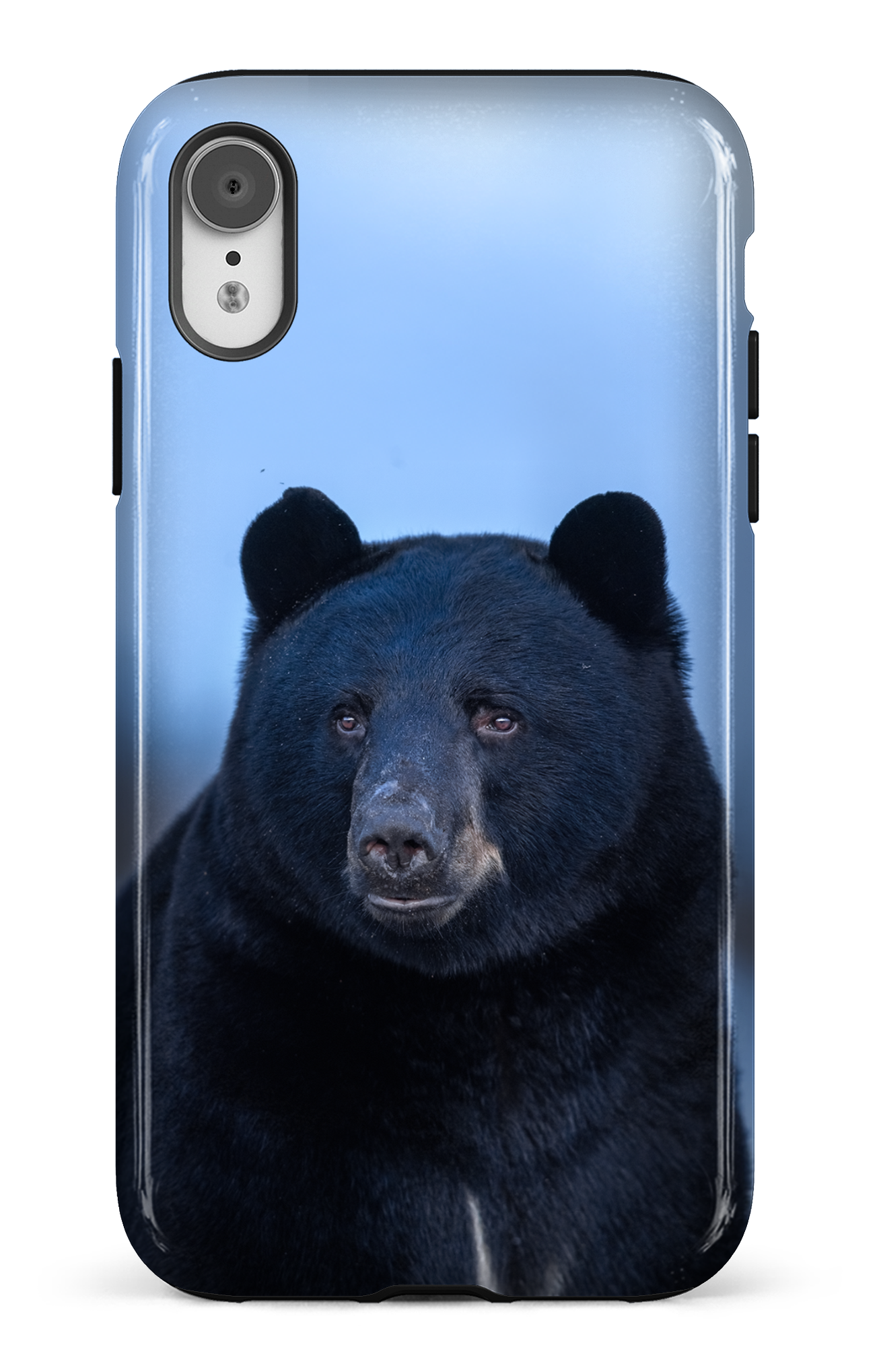 Ours bleu