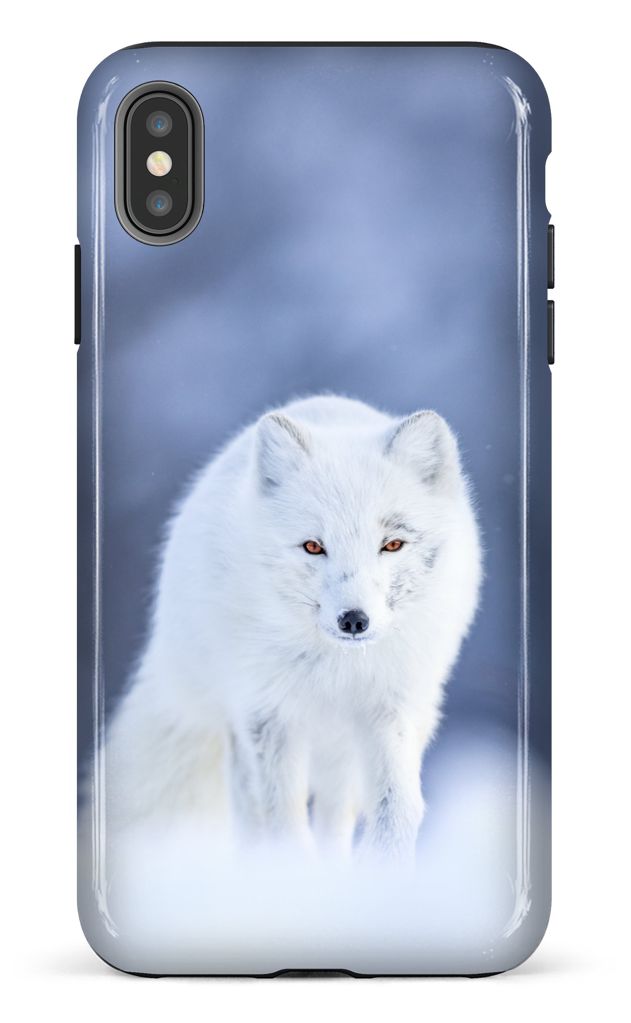 Arctique