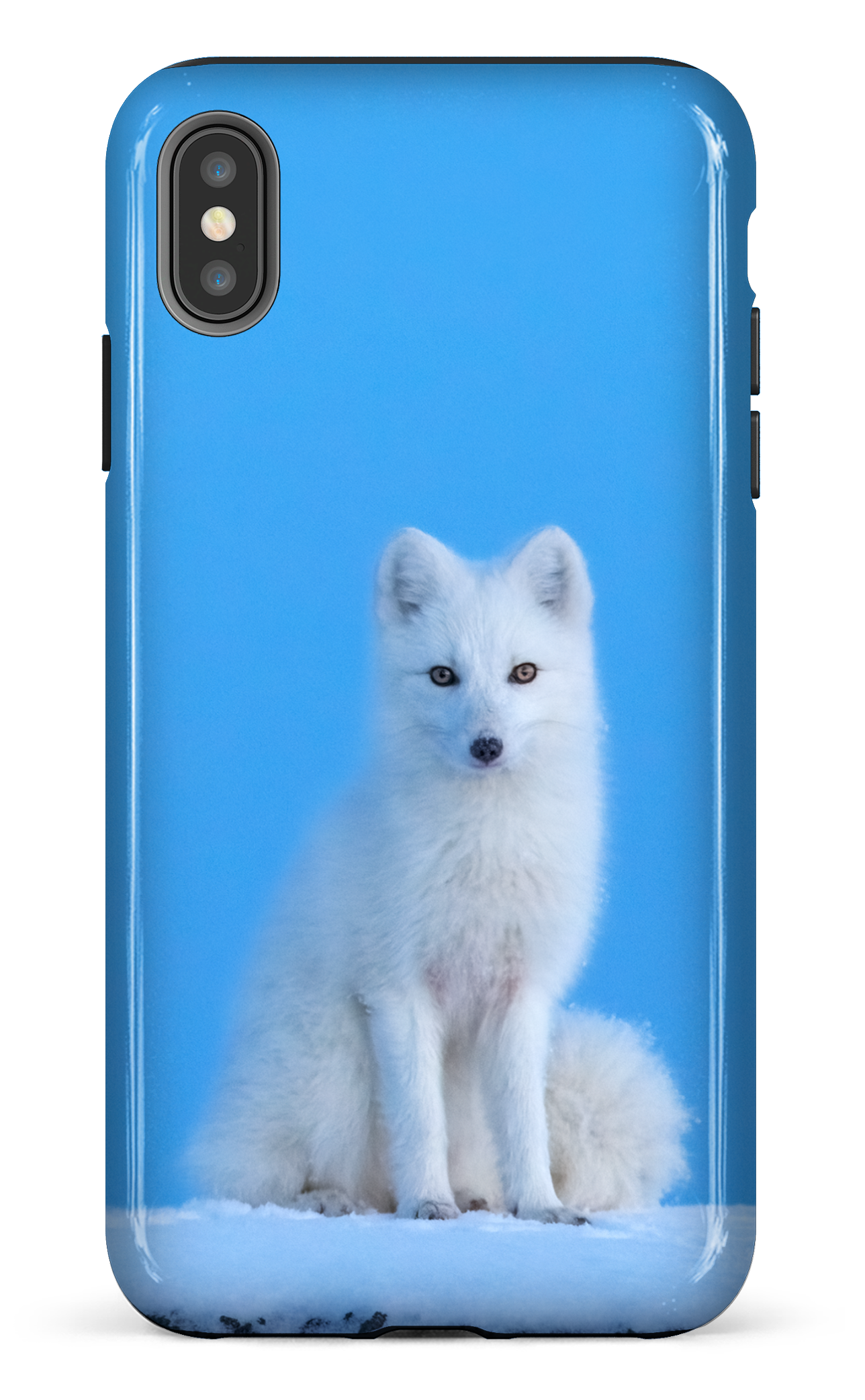 L'heure bleu