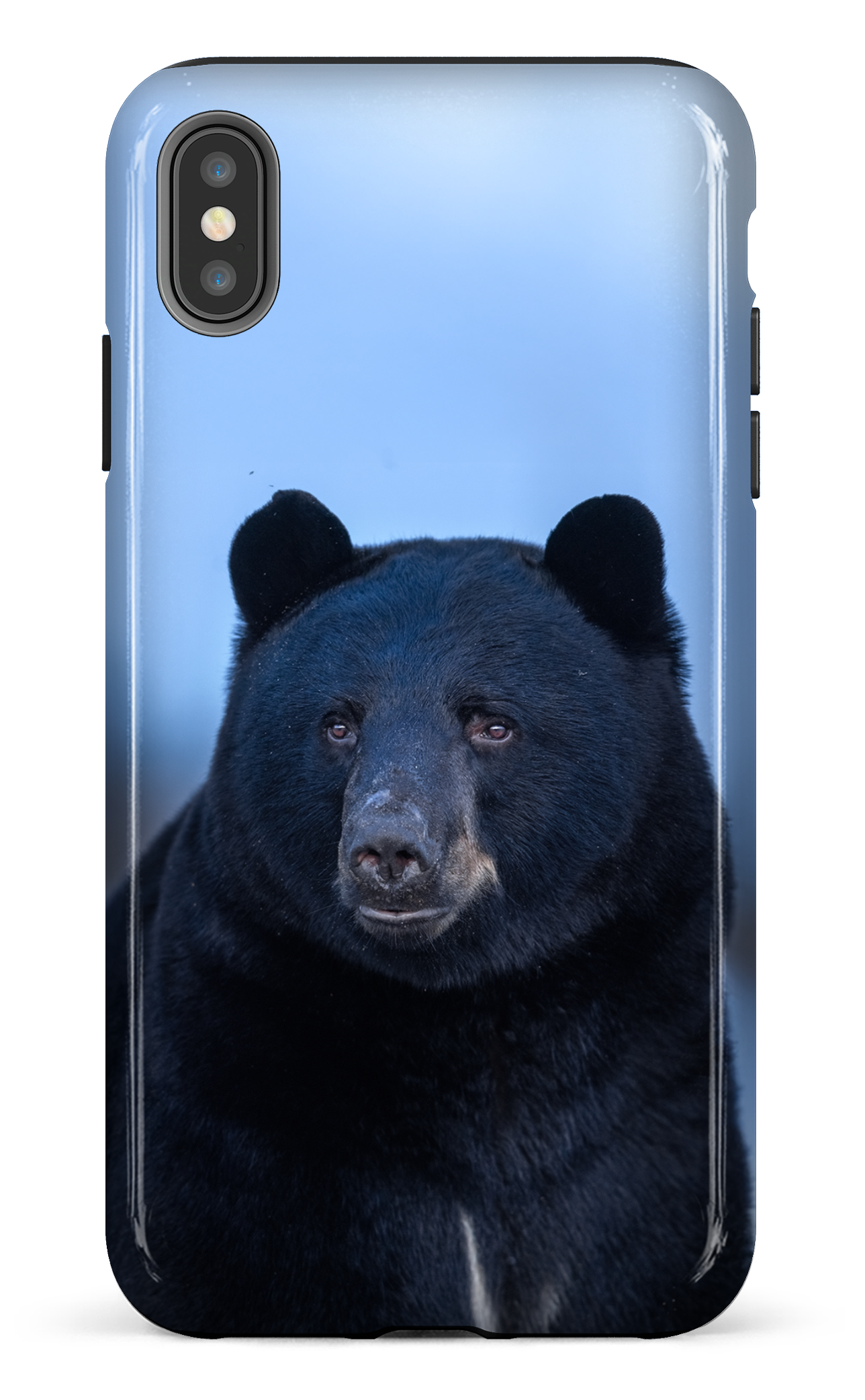 Ours bleu