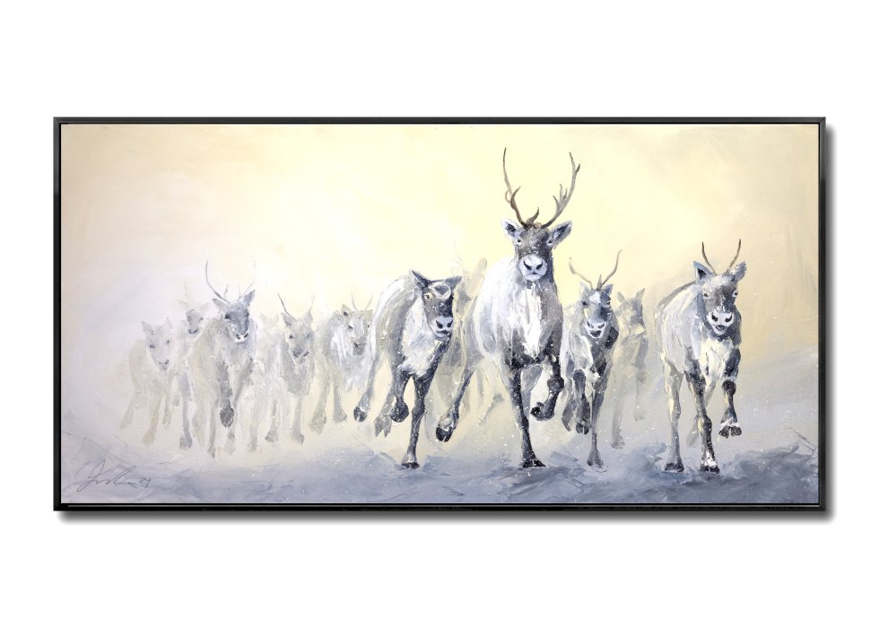 The Snow Gallop